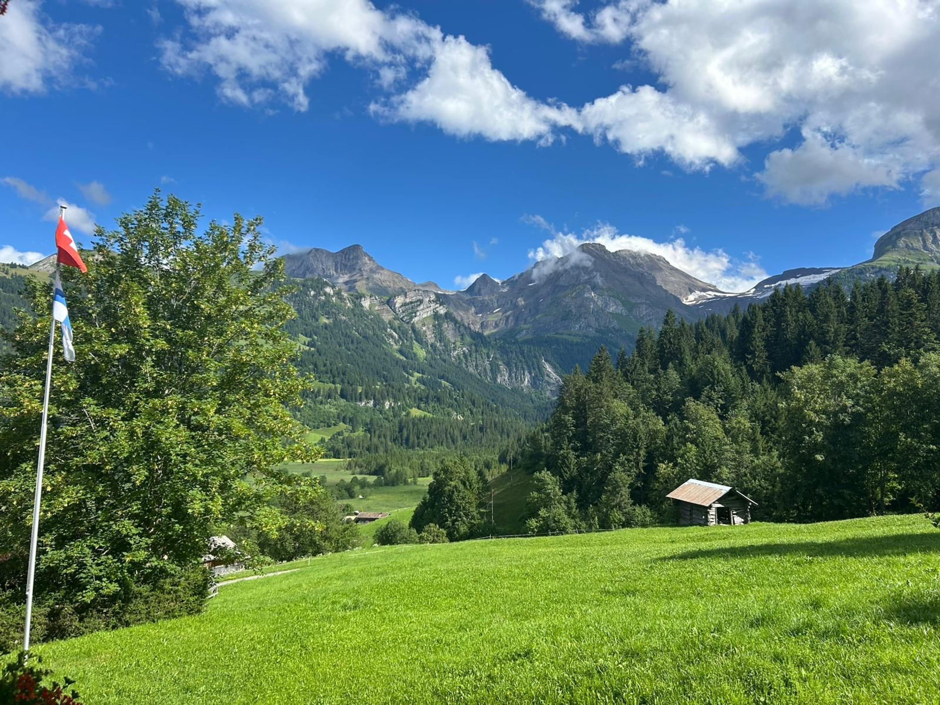 Lichtdurchflutetes Chalet - Panoramasicht und höchste Privatsphäre - Bild 6
