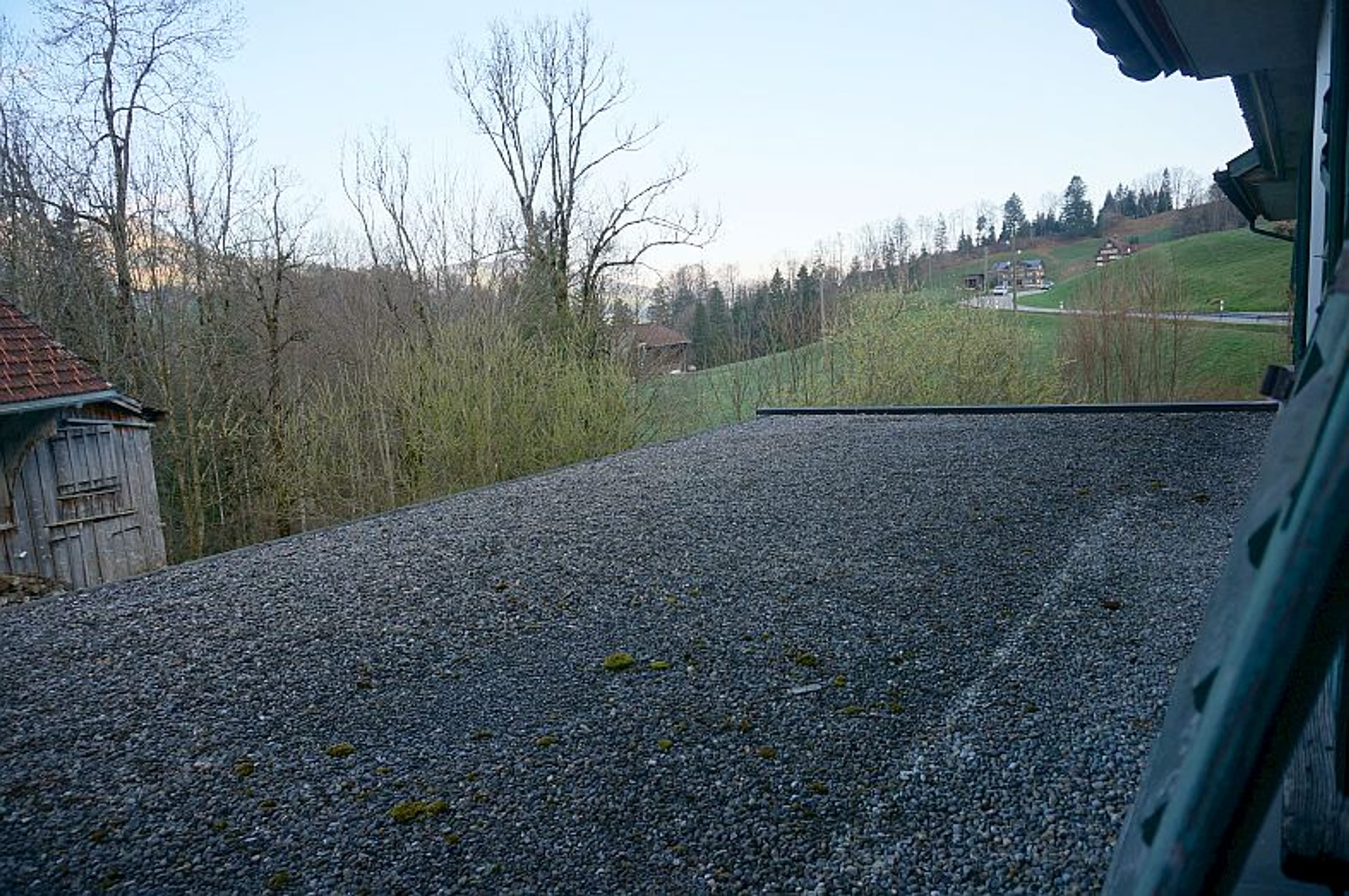 Ensemble mit Gasthaus, 2 Wohnungen & Scheune in Nesslau - kaufen - 21