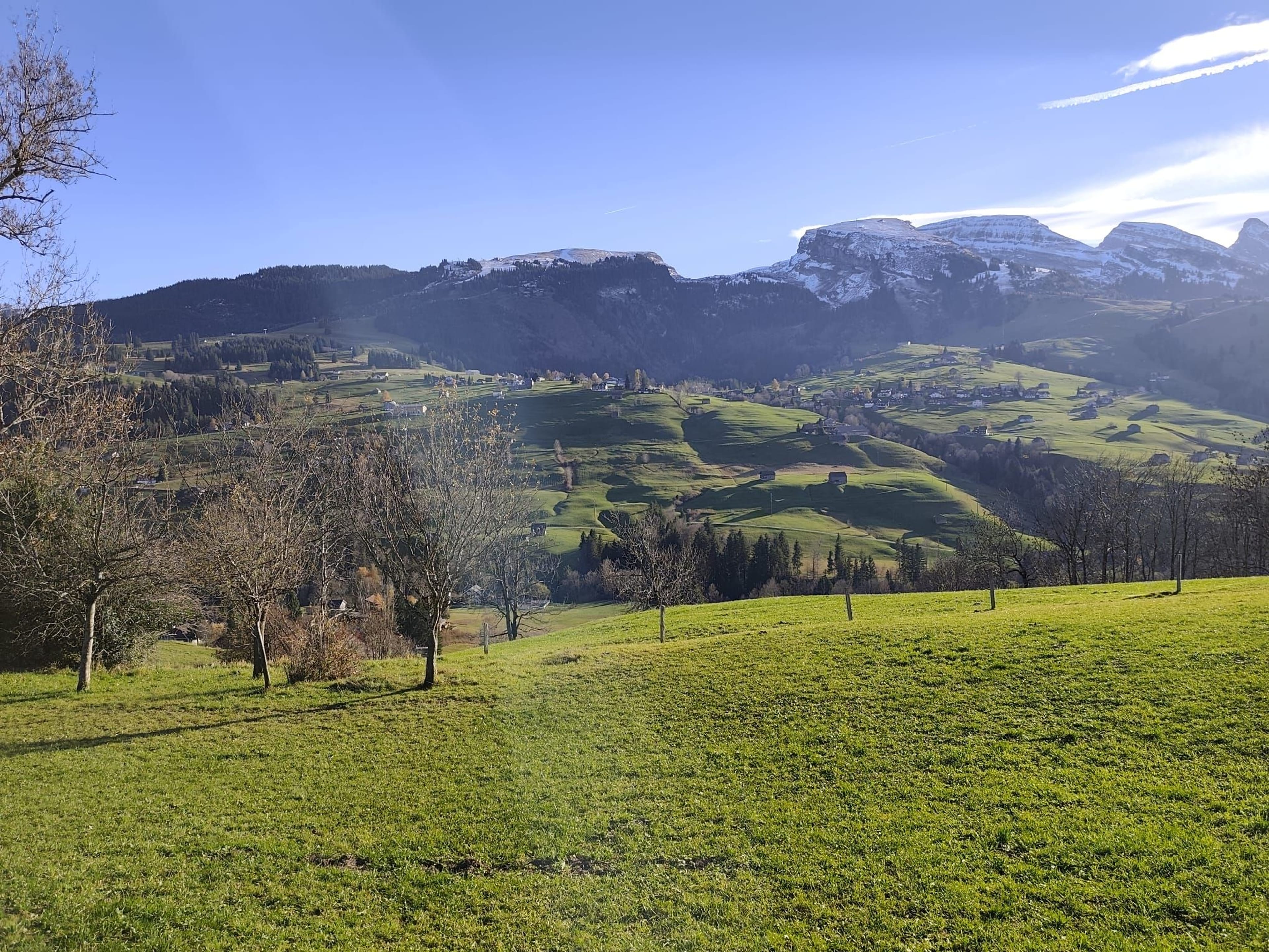 7-Zimmer-Bauernhaus mit Weitsicht in Wildhaus-Alt St. Johann mieten - Bild 5