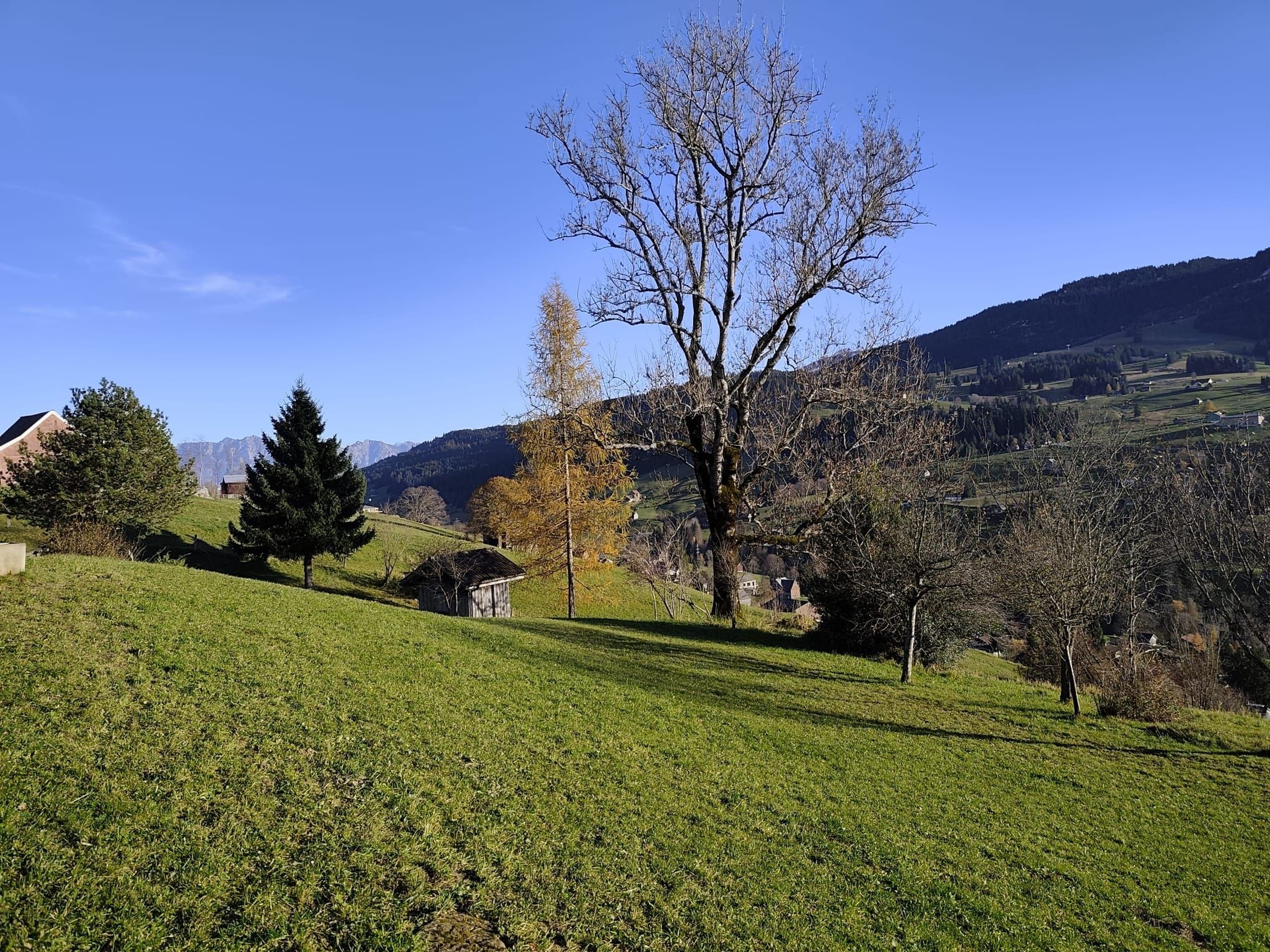 7-Zimmer-Bauernhaus mit Weitsicht in Wildhaus-Alt St. Johann mieten - Bild 4