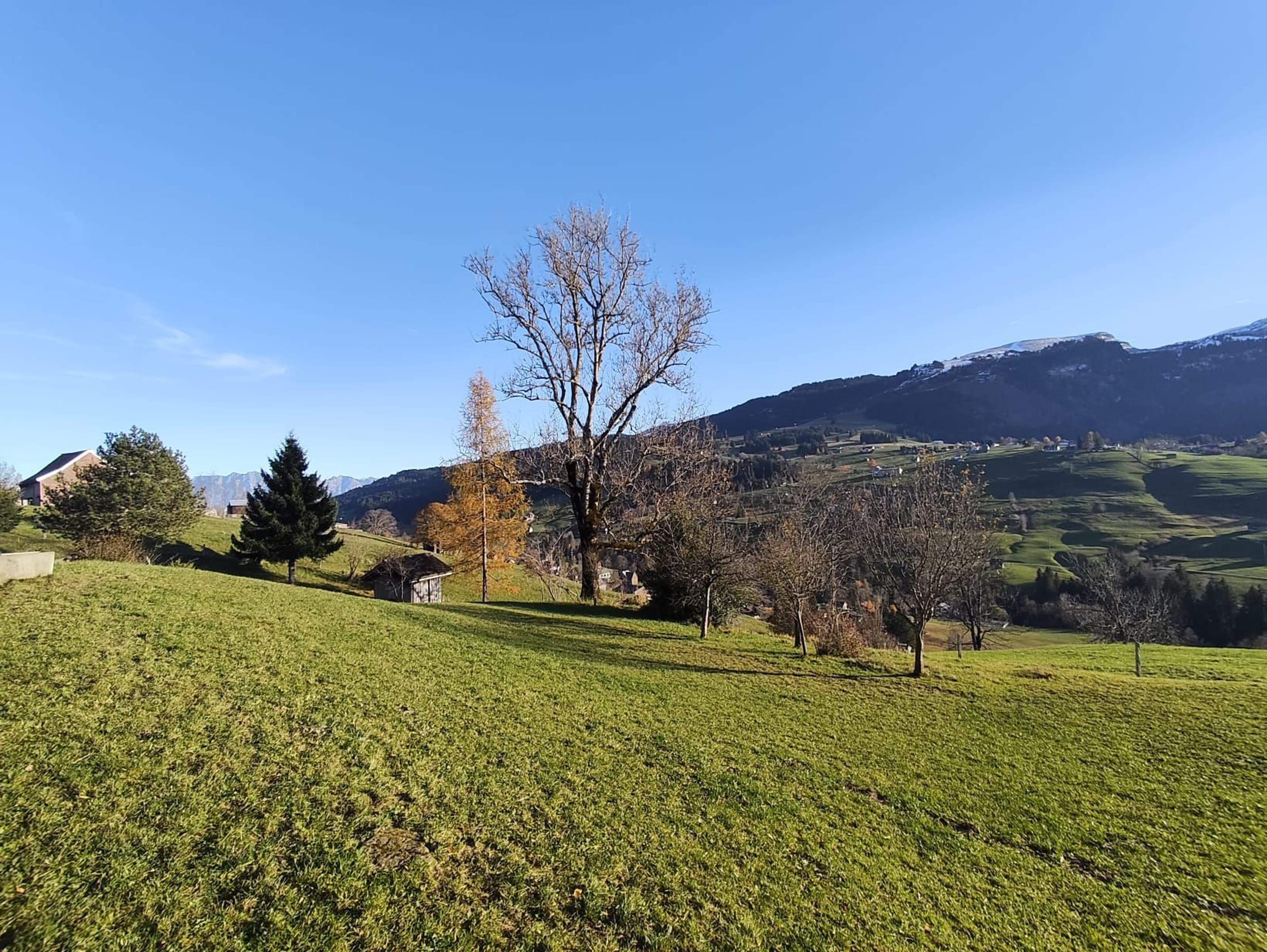 7-Zimmer-Bauernhaus mit Weitsicht in Wildhaus-Alt St. Johann mieten - Bild 3