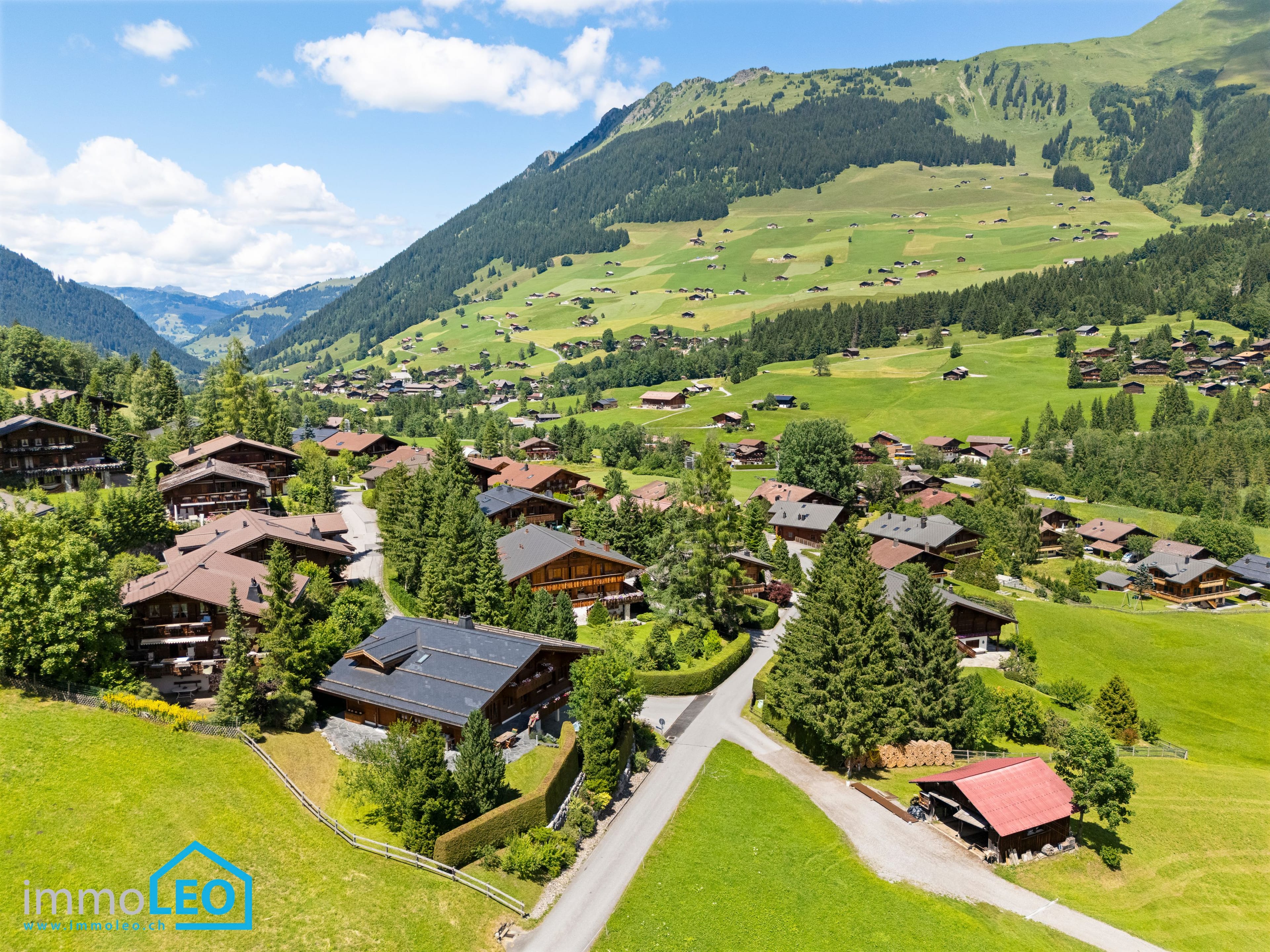 3½-Zi.-Gartenwohnung + 2-Zimmer Studio, 2023 renoviert, Lauenen b. Gstaad - 6