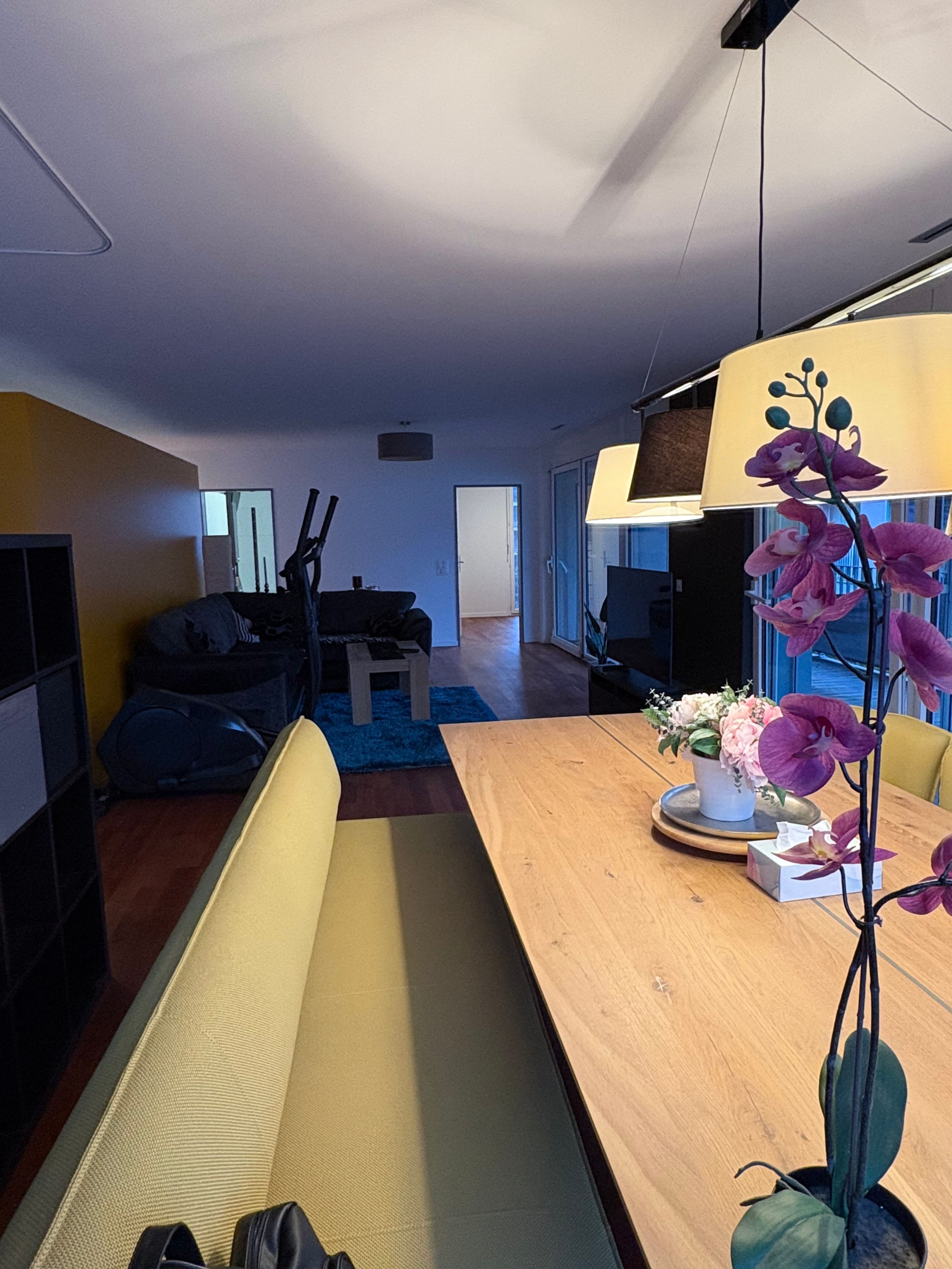 Grosszügige 4-Zimmer-Wohnung mit viel Licht, Frauenfeld - Bild 6