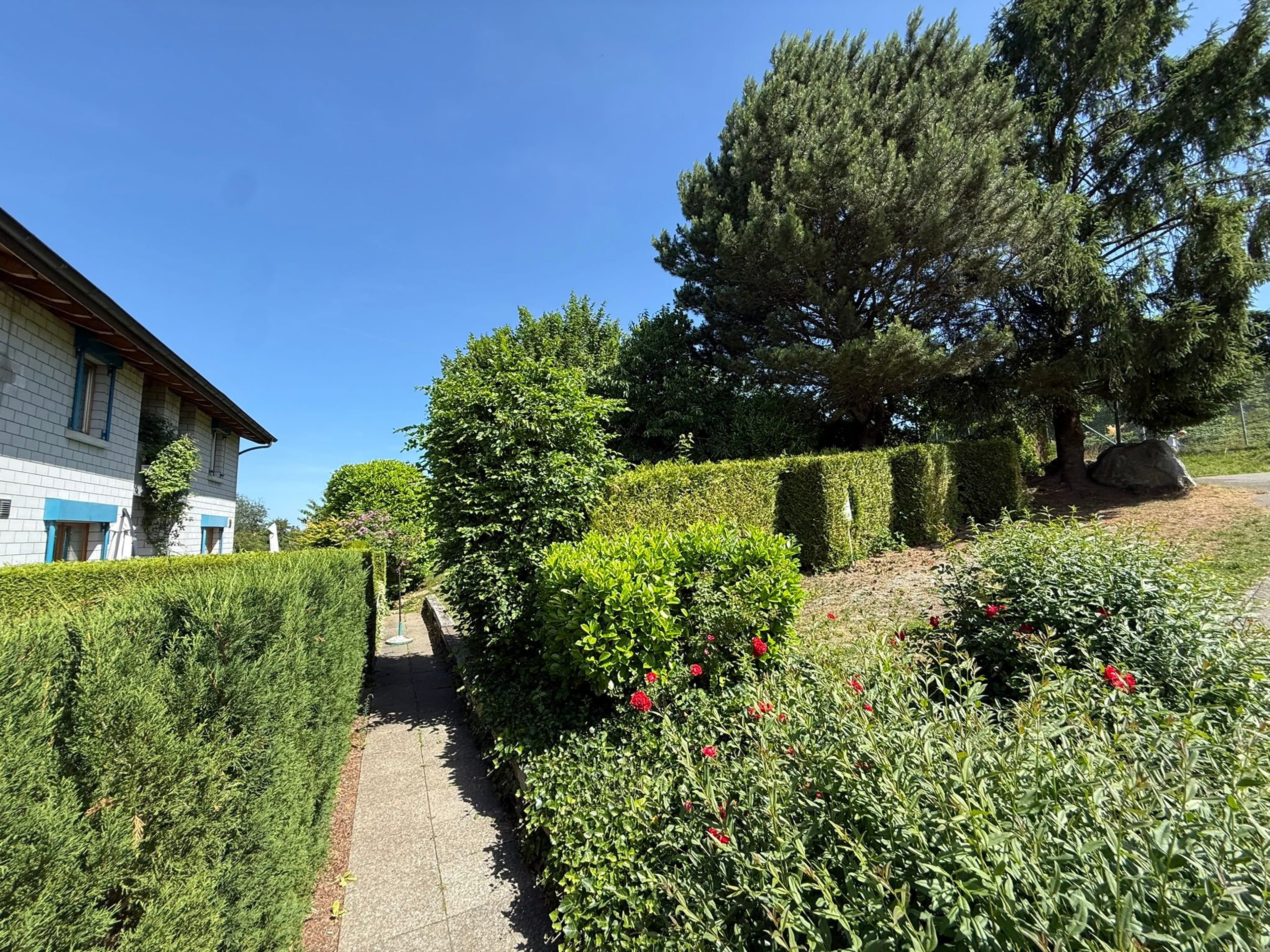 5.5-Zimmer Reihenhaus mit Weitsicht in Bellikon - 33