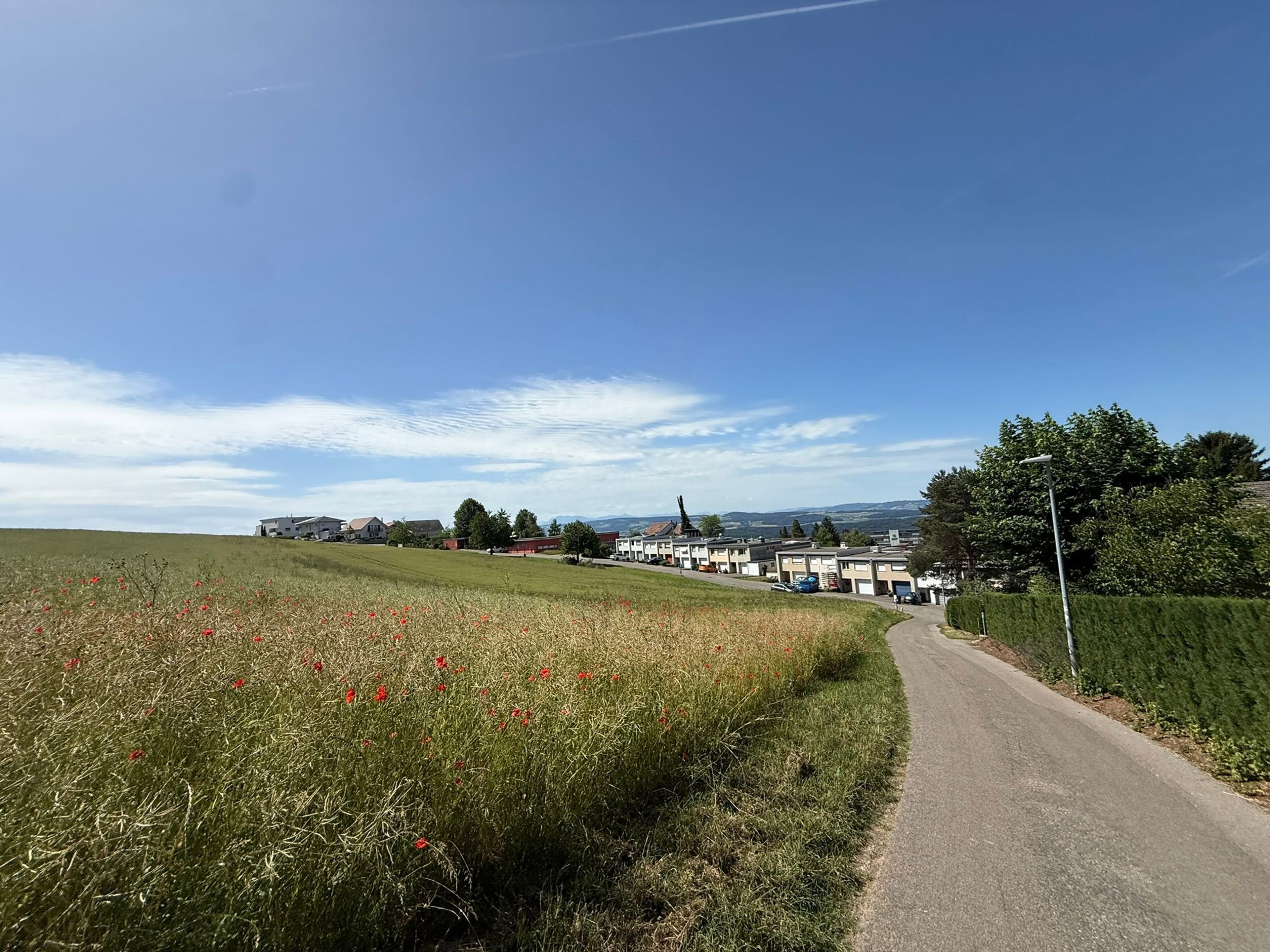 5.5-Zimmer Reihenhaus mit Weitsicht in Bellikon - 35