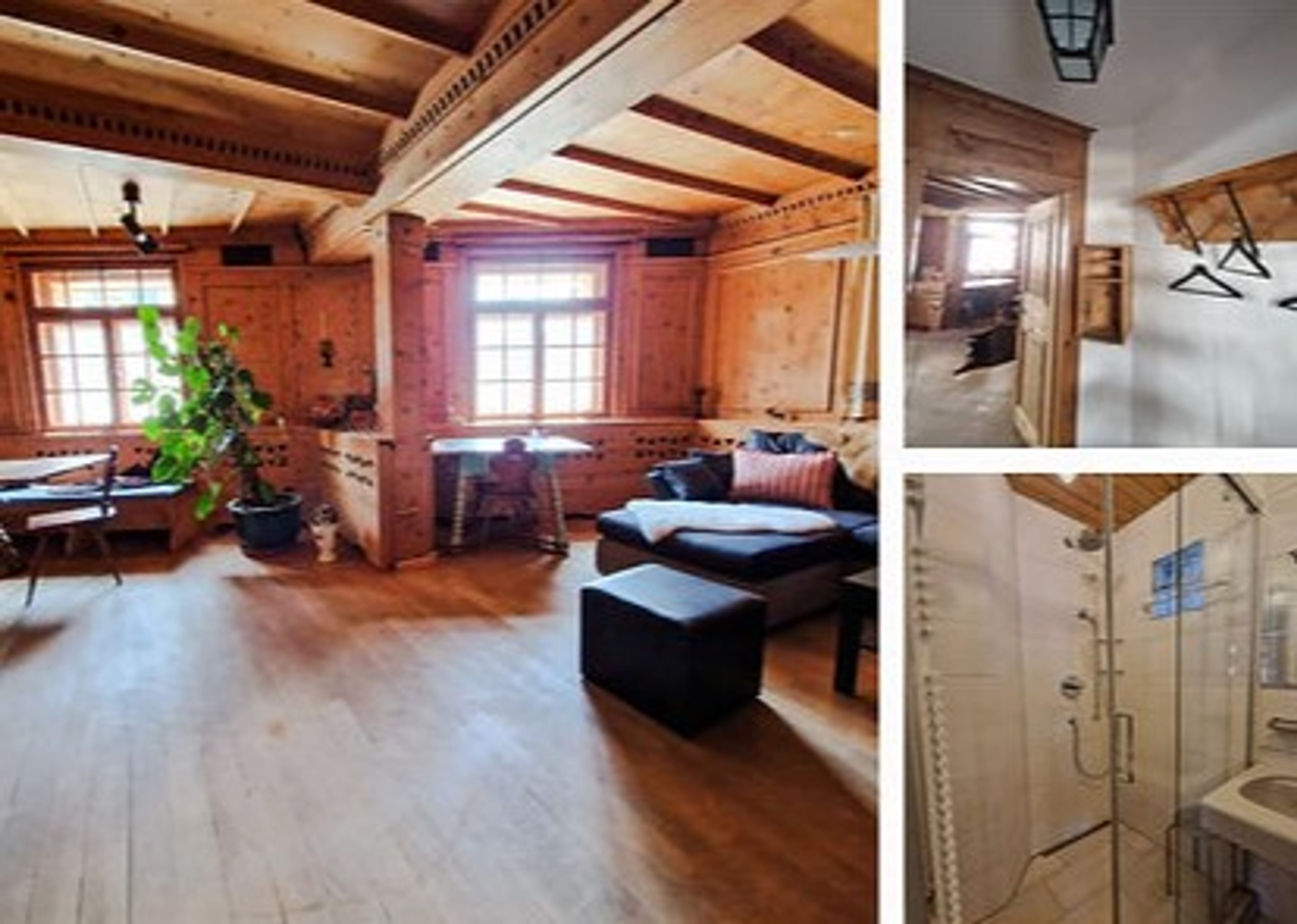 Saniertes MFH mit 11 Einheiten in Davos - zentrale Lage, kaufen - 3
