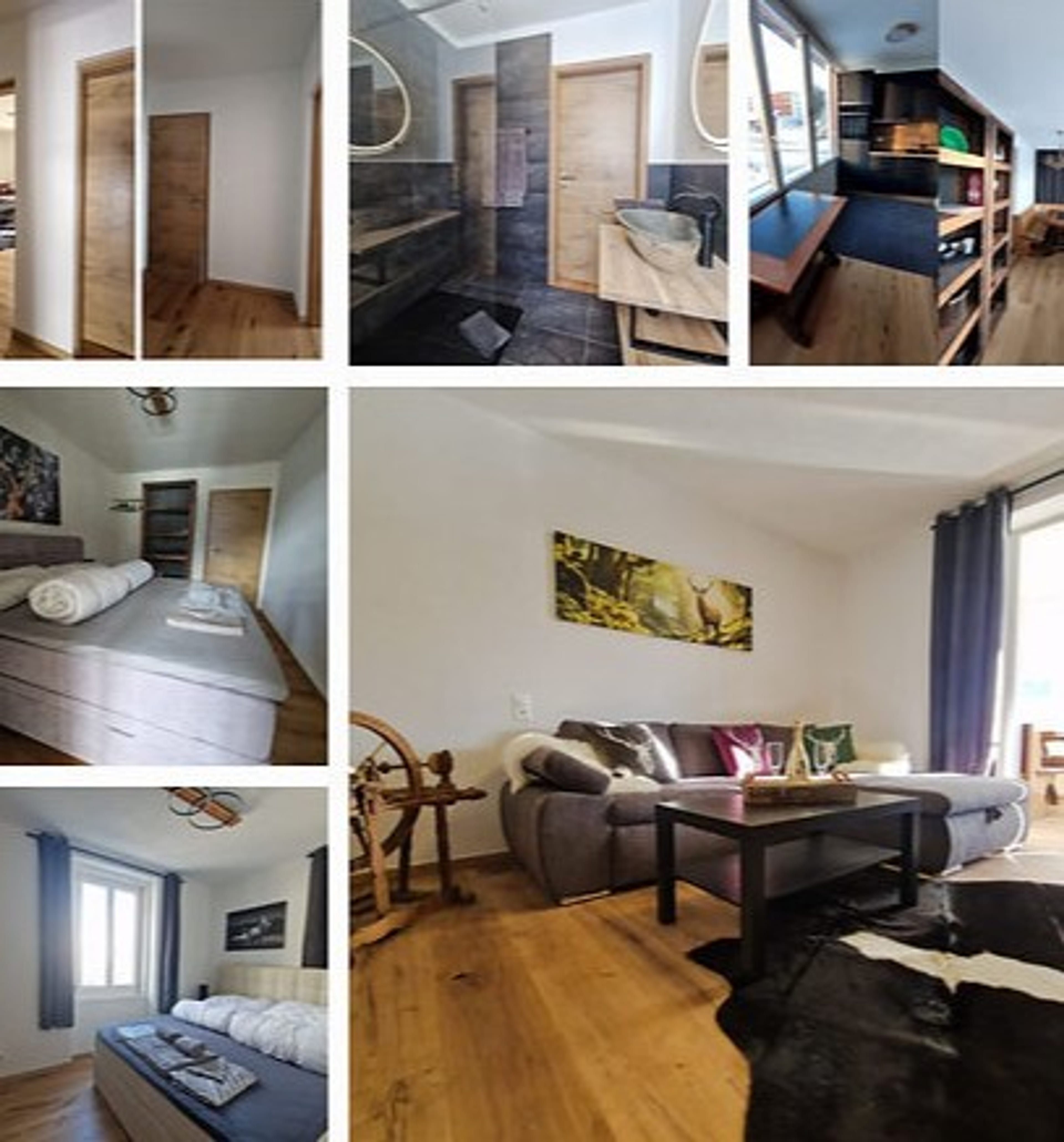 Saniertes MFH mit 11 Einheiten in Davos - zentrale Lage, kaufen - 2