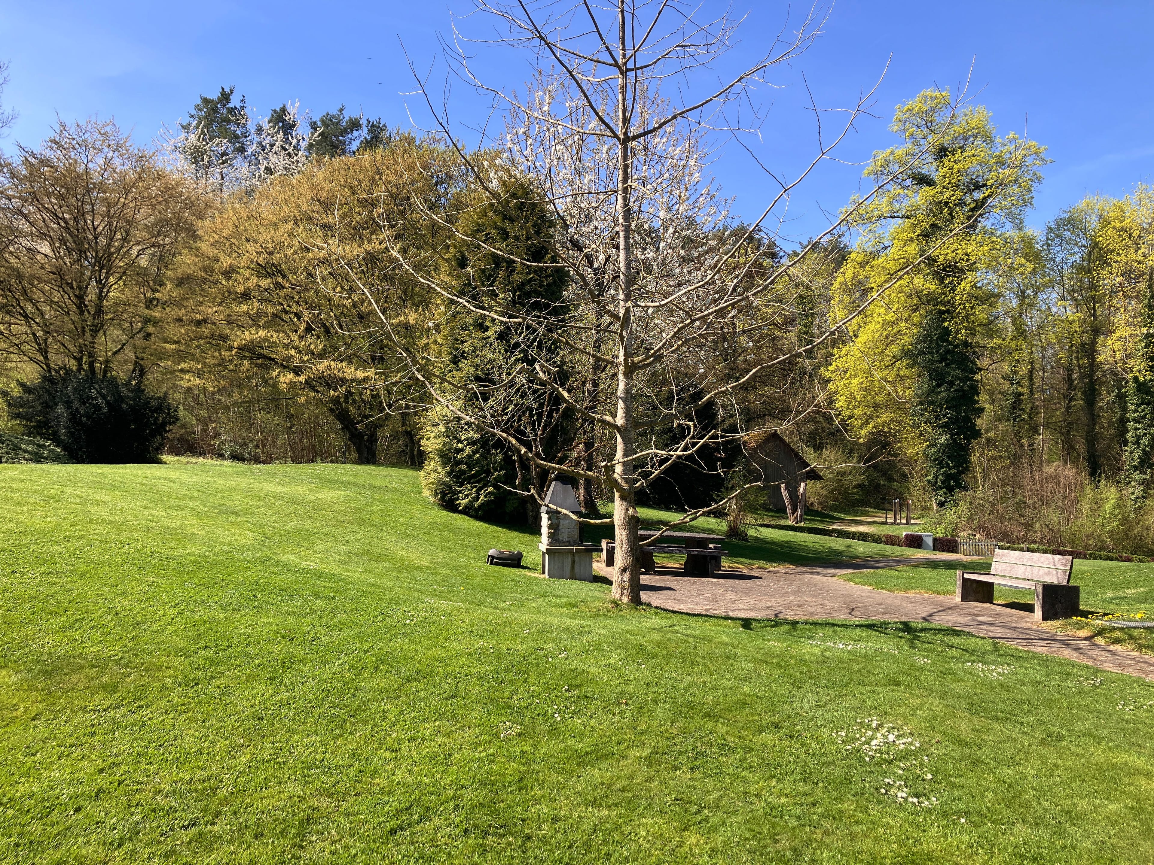 Gartenwohnung mit Hausgefühl – seltene Gelegenheit in Andelfingen - Bild 1