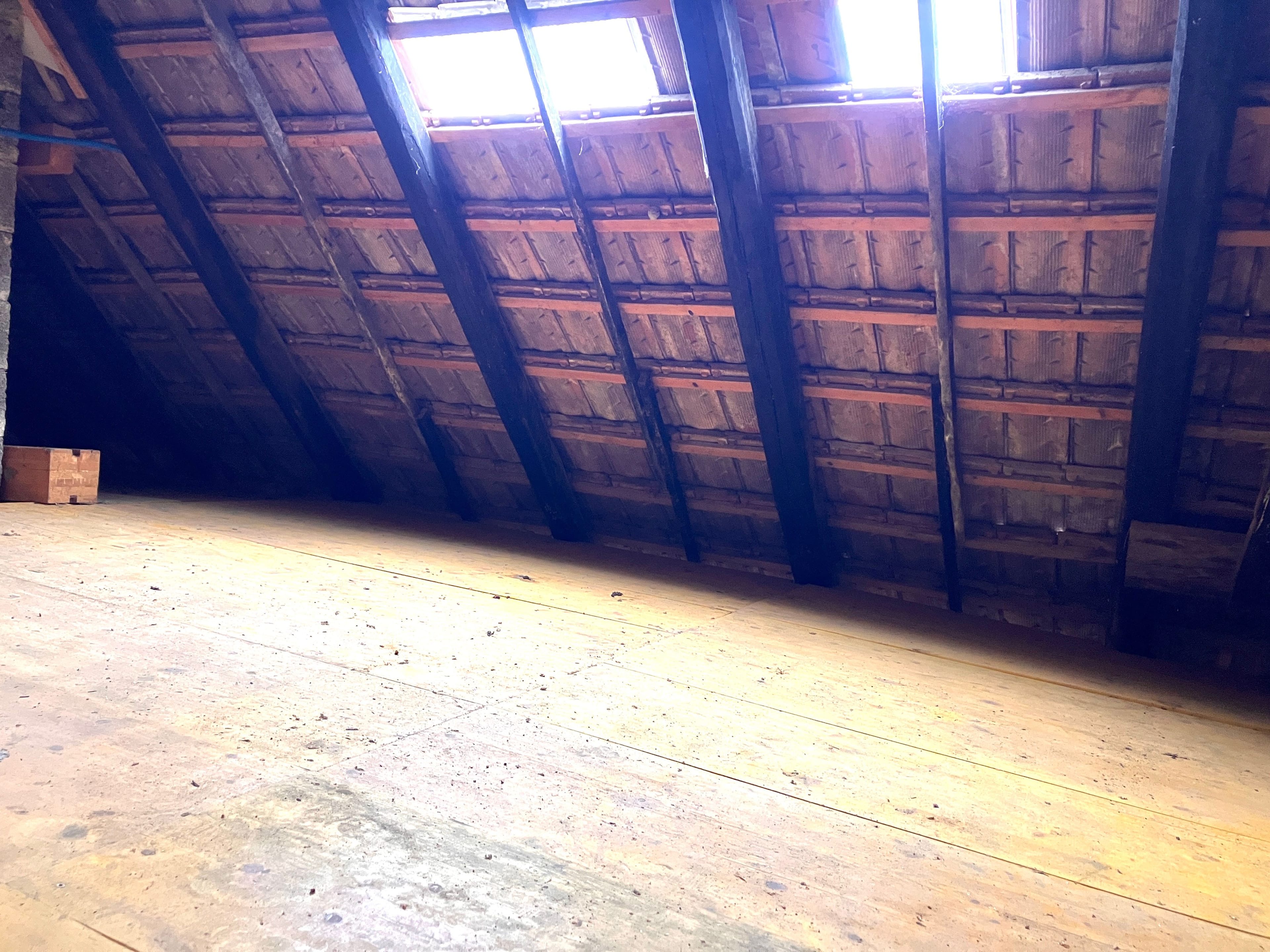 Ihr Projekt wartet: Bauernhaus mit bewilligtem Umbau – seltene Chance - 20
