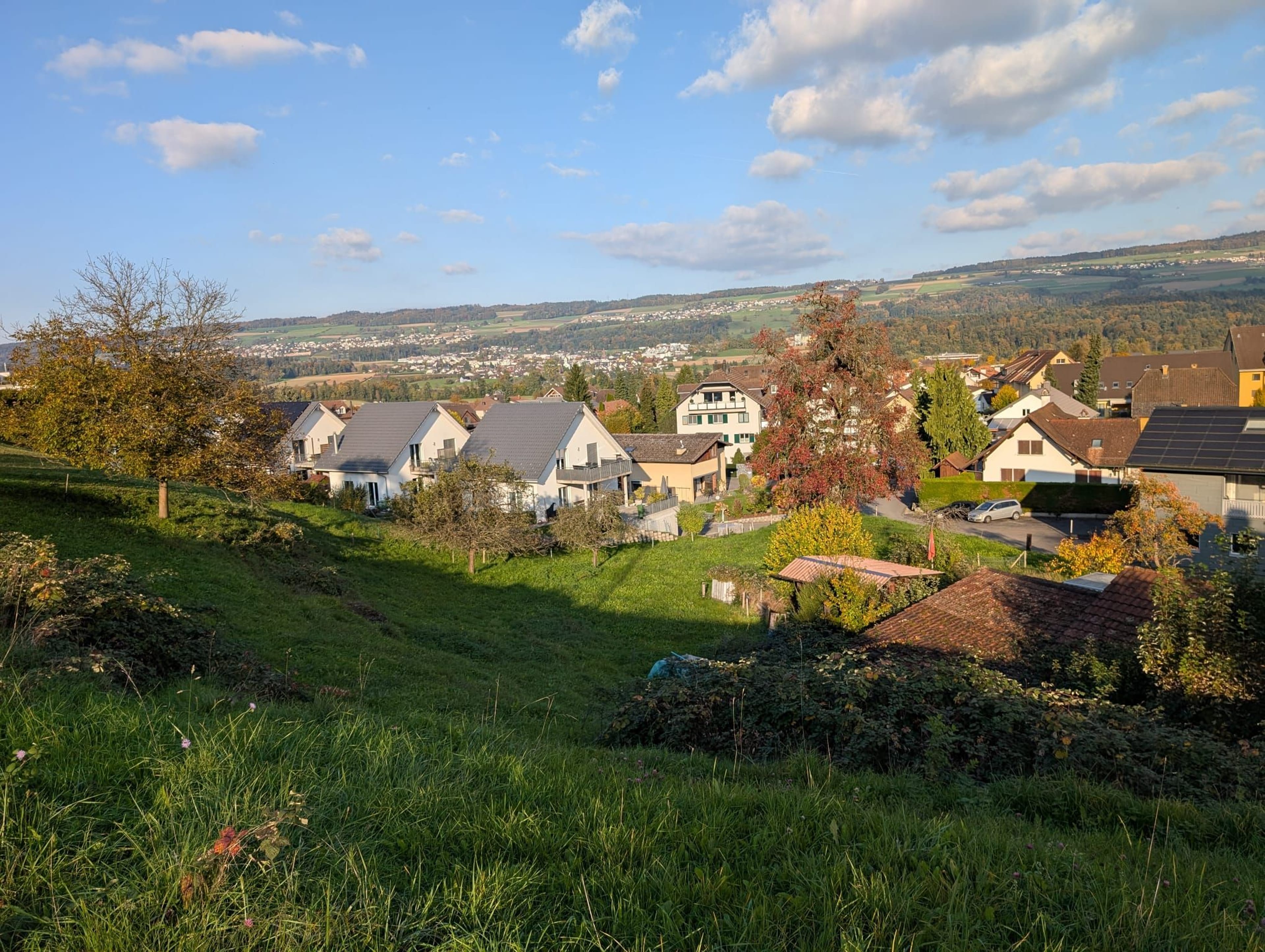 Bauland (3'662M²) in Nesselnbach - Bild 4