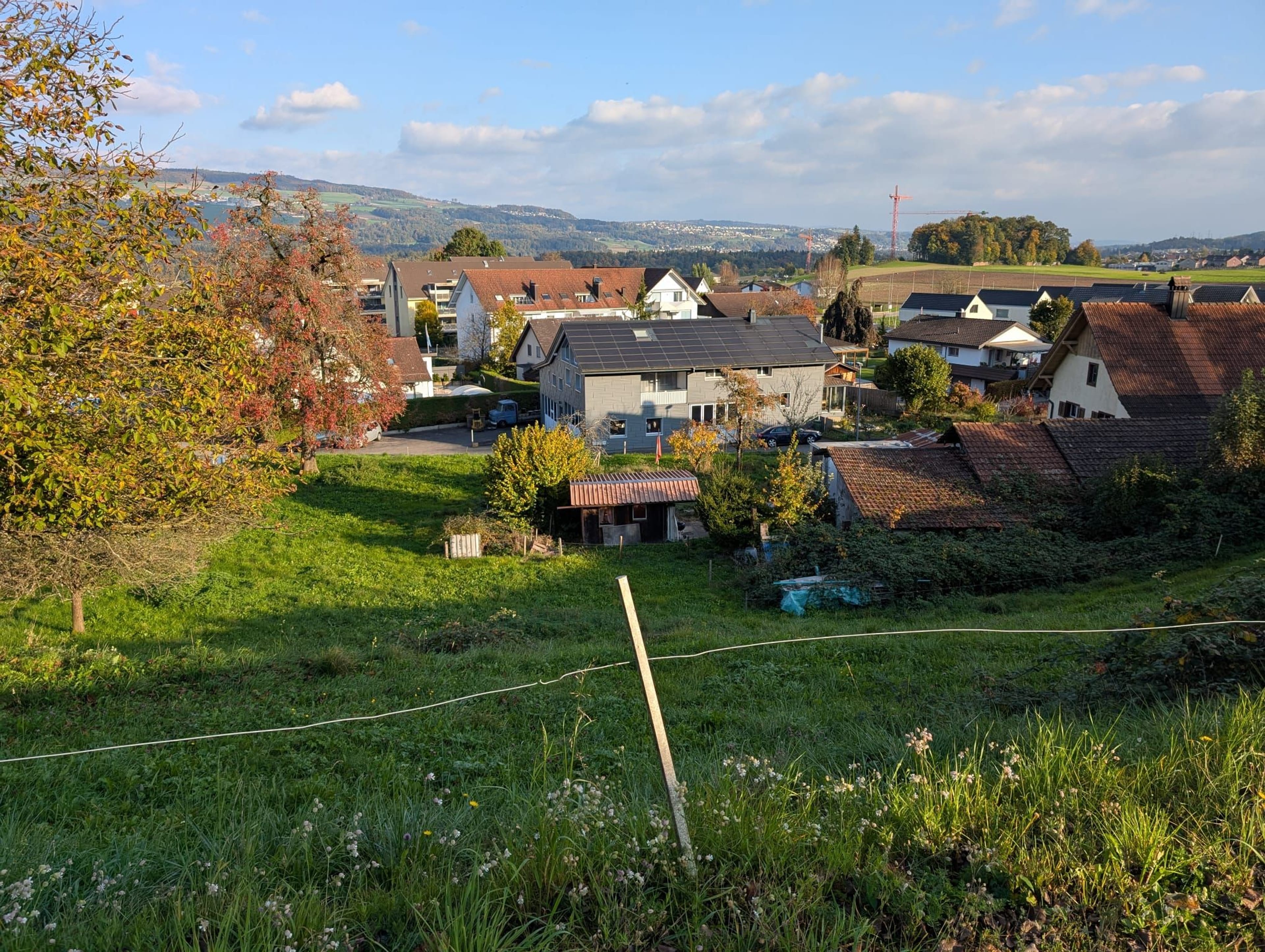 Bauland (3'662M²) in Nesselnbach - Bild 2