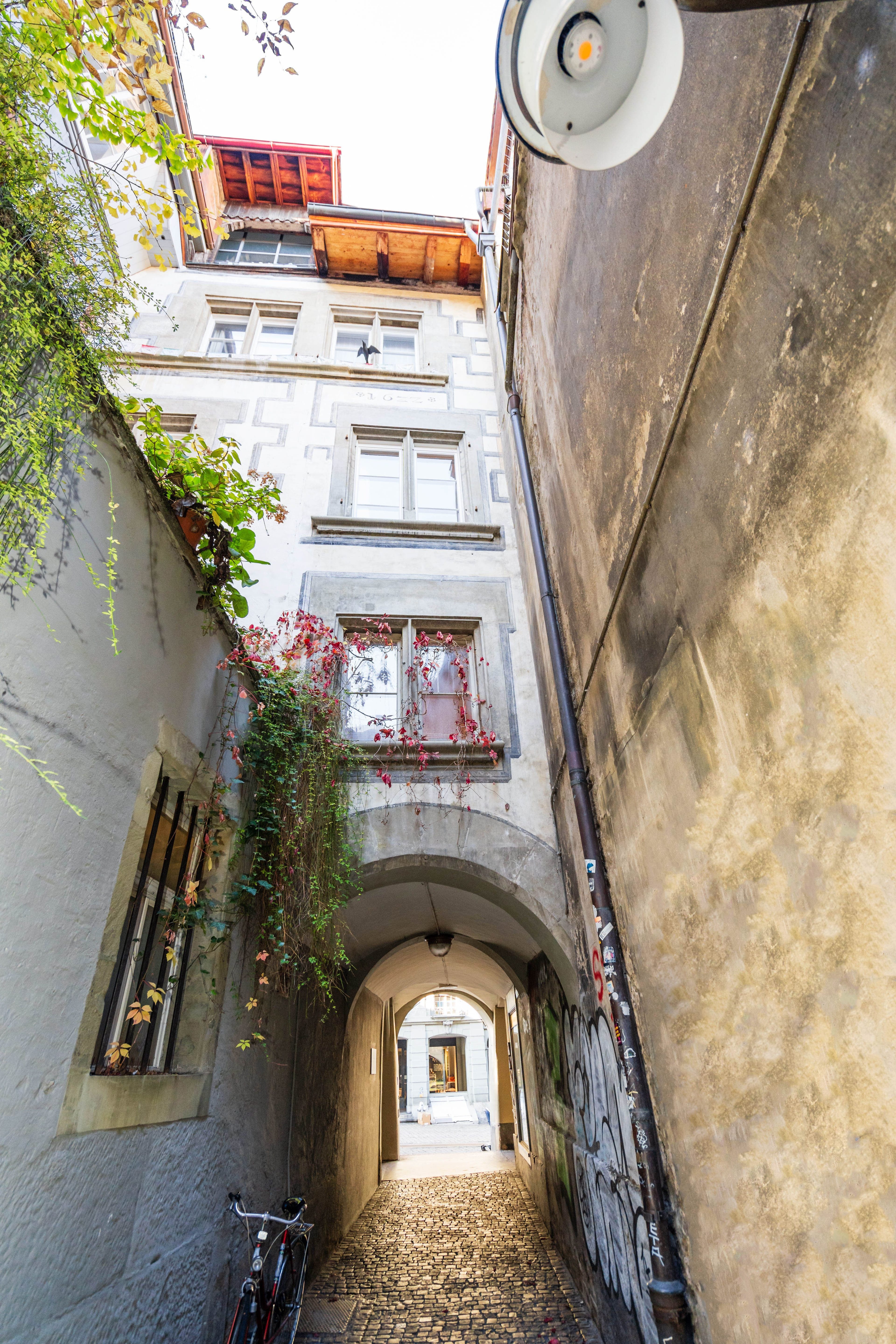 Eine Stockwerkeinheit mit drei Wohnungen, Terrasse im Innenhof, Verkaufsfläche und Gewölbekeller - 2