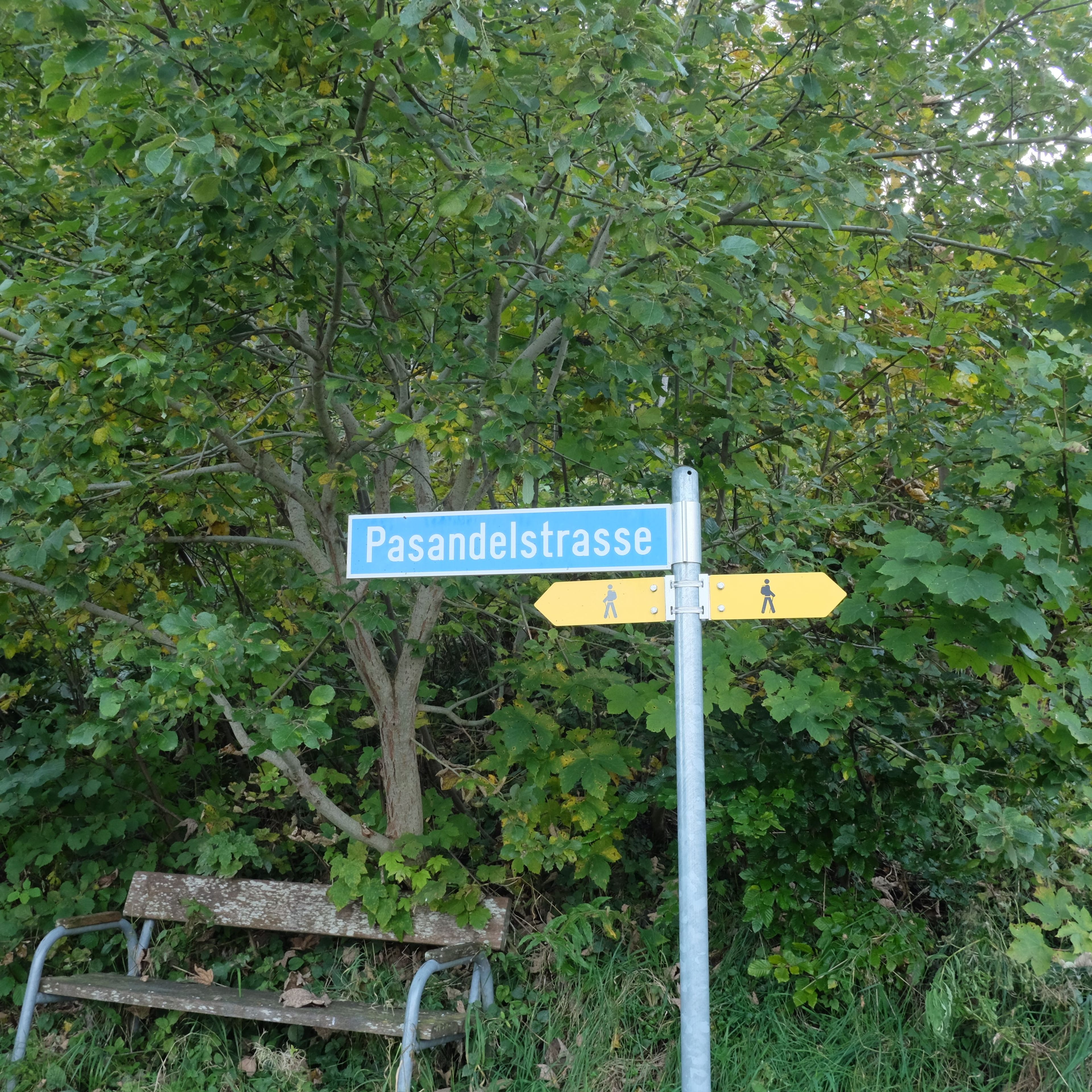 421 m² Bauland mit Aussicht in Flumserberg Tannenheim - kaufen - 8