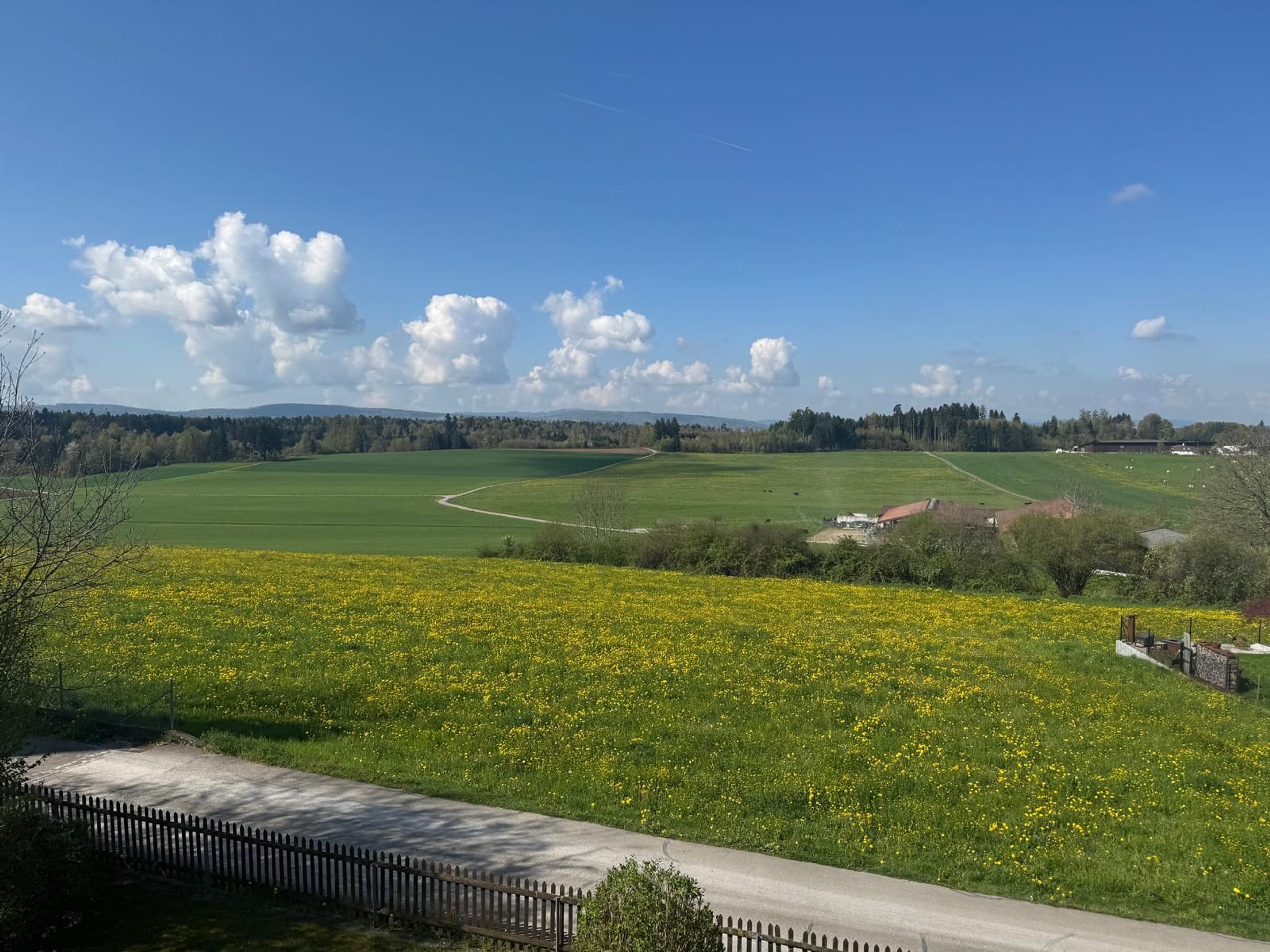 3.5-Zimmer-Dachwohnung mit freier Weitsicht in Tagelswangen  - 17
