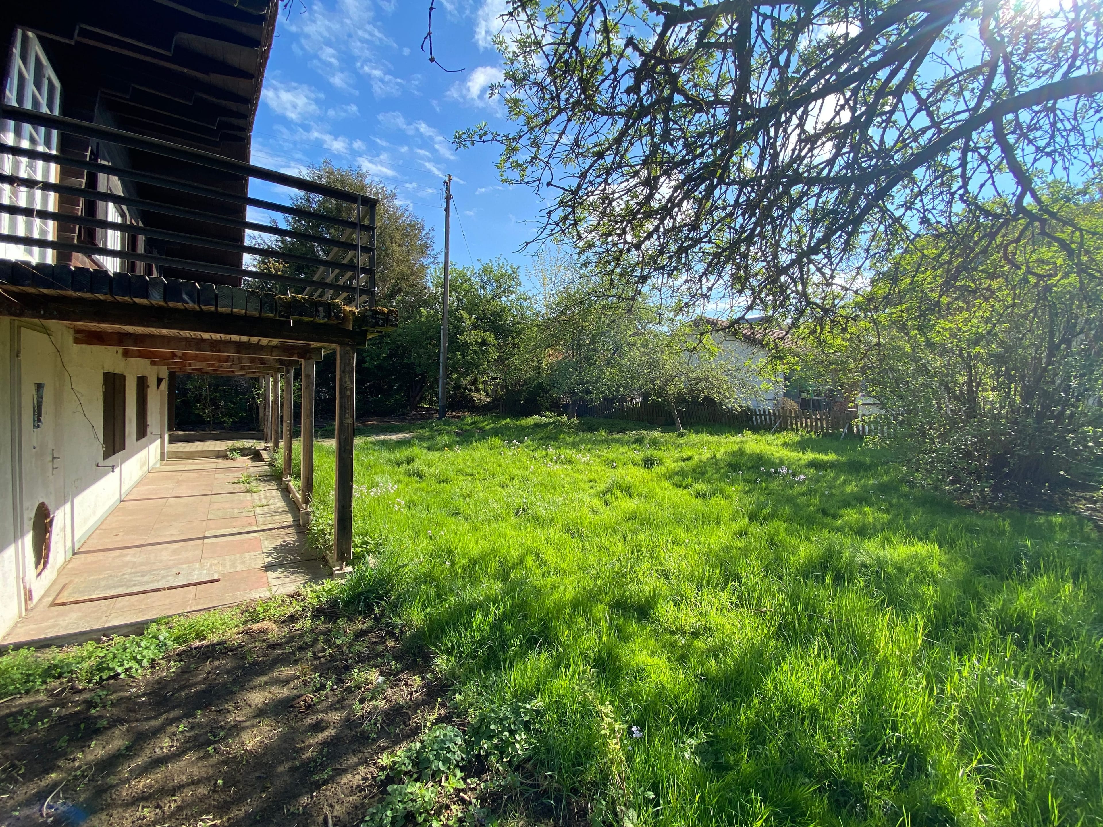 4-Zimmer-Chalet mit grossem Garten in Hochwald - sonnig - Bild 3