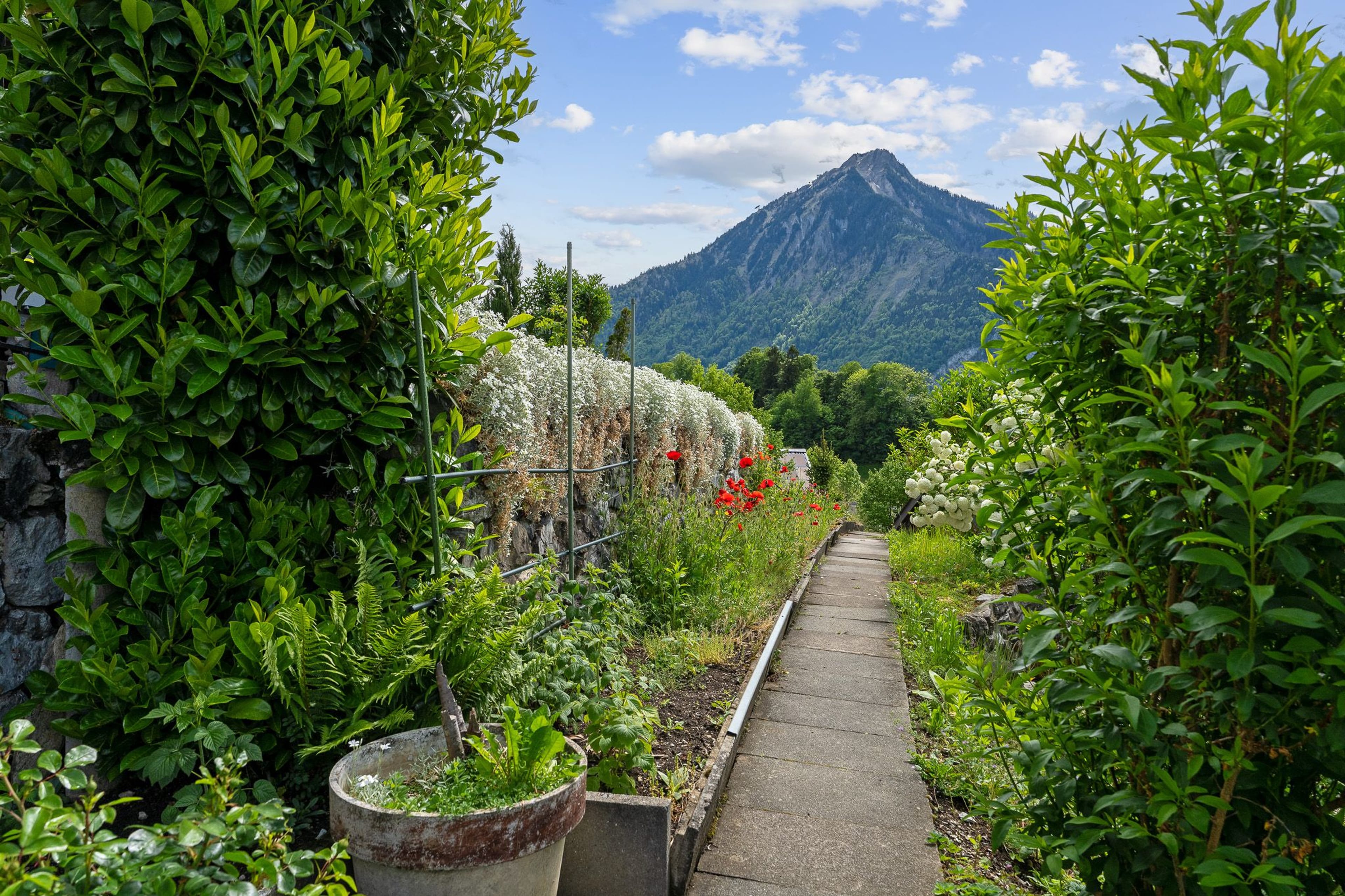 4.5-Zimmer-Einfamilienhaus mit Einliegerwohnung und traumhafter Bergsicht in Ennetmoos - 24