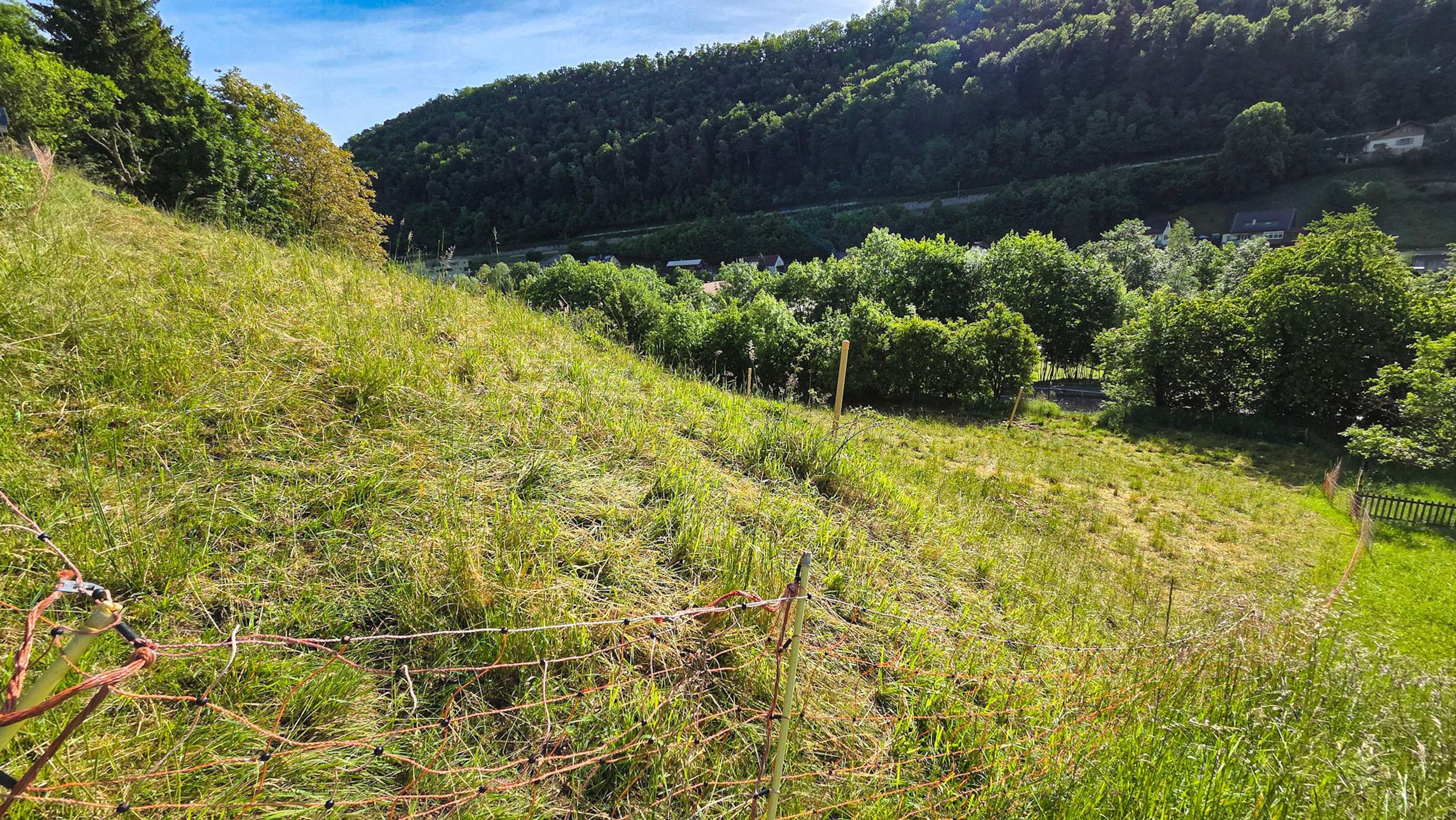 Bauland mit unverbaubarer Weitsicht in Rümlingen (2’024 m²) - Bild 6