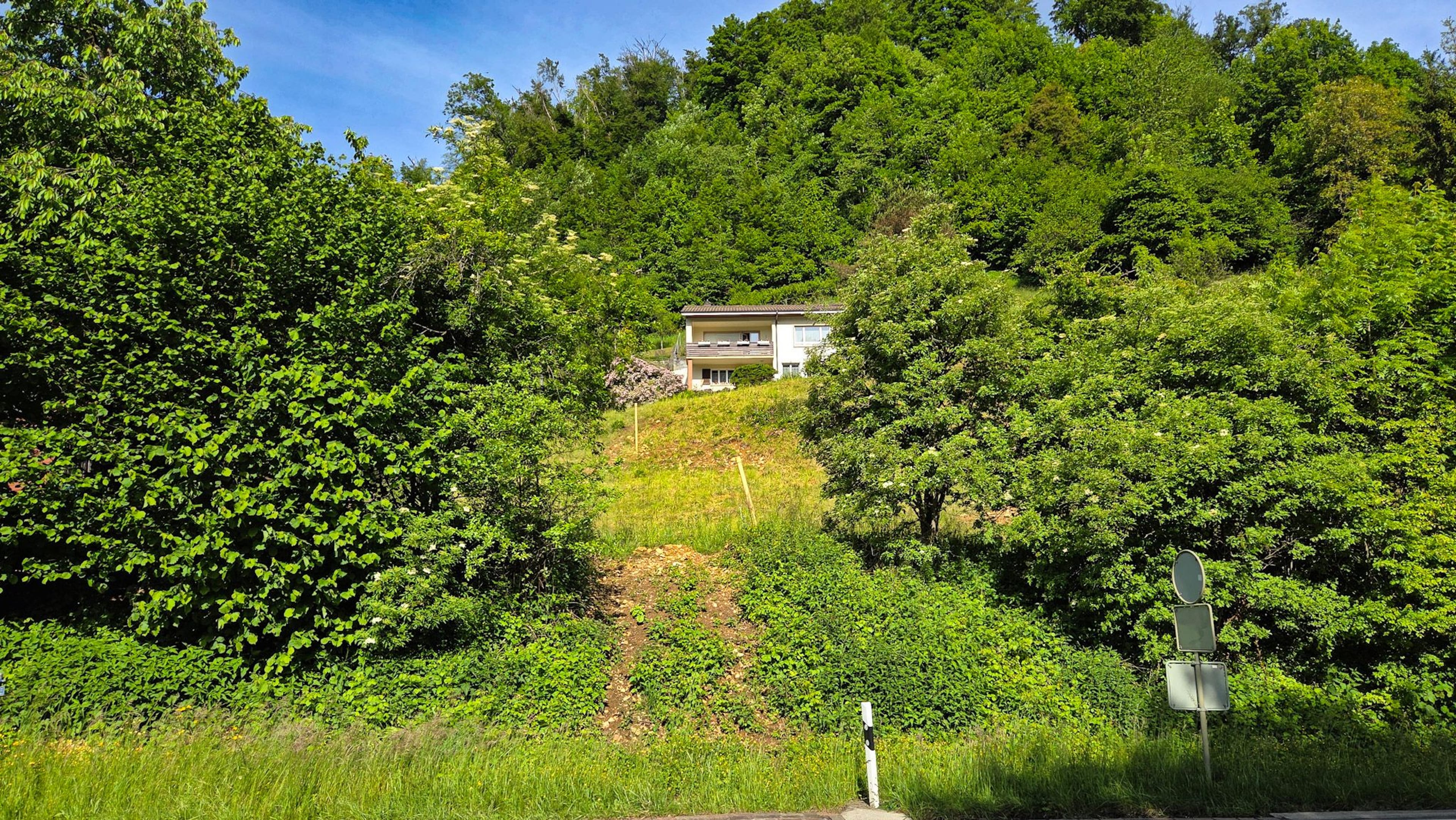 Bauland mit unverbaubarer Weitsicht in Rümlingen (2’024 m²) - Bild 2