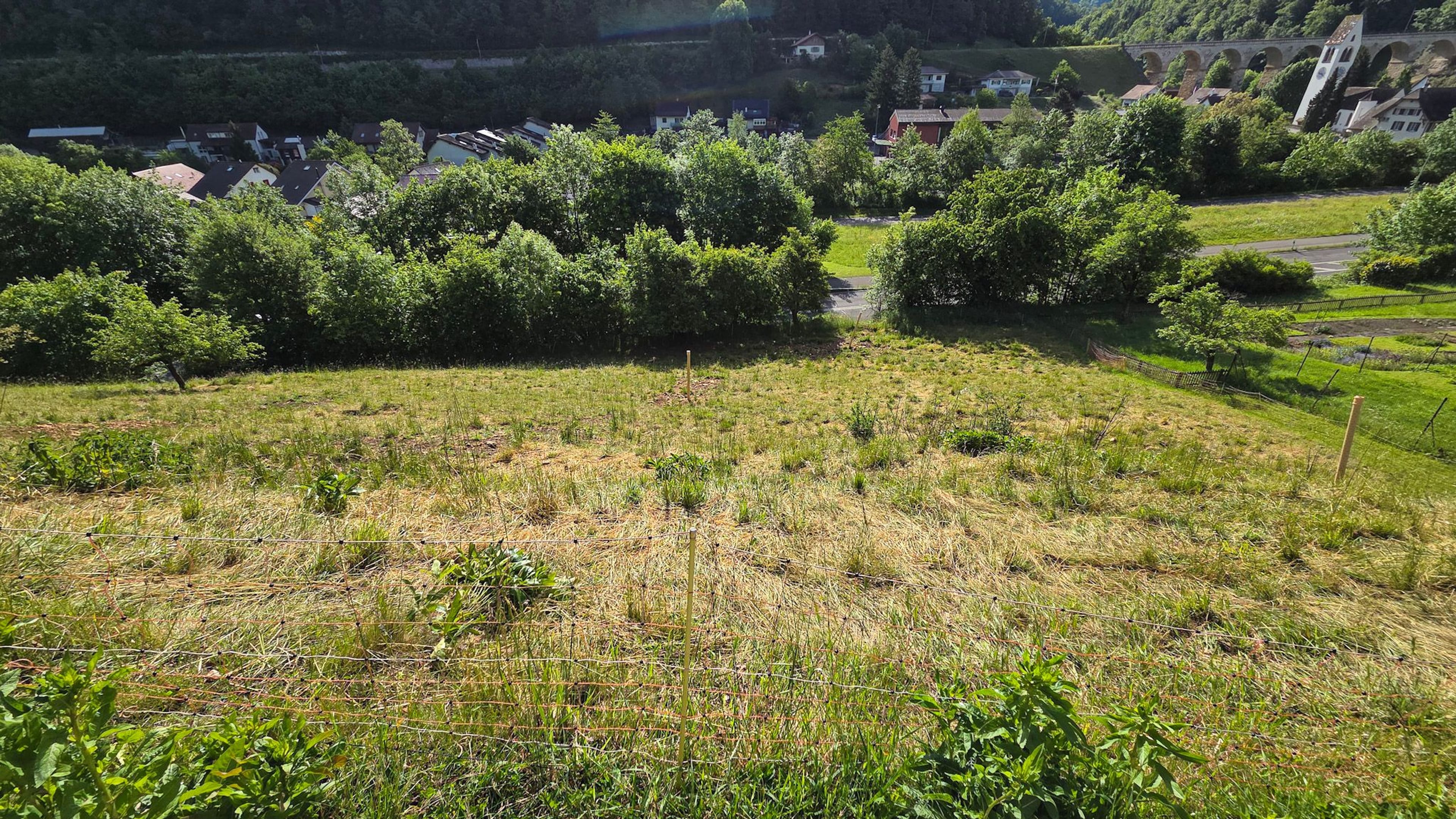Bauland mit unverbaubarer Weitsicht in Rümlingen (2’024 m²) - 8