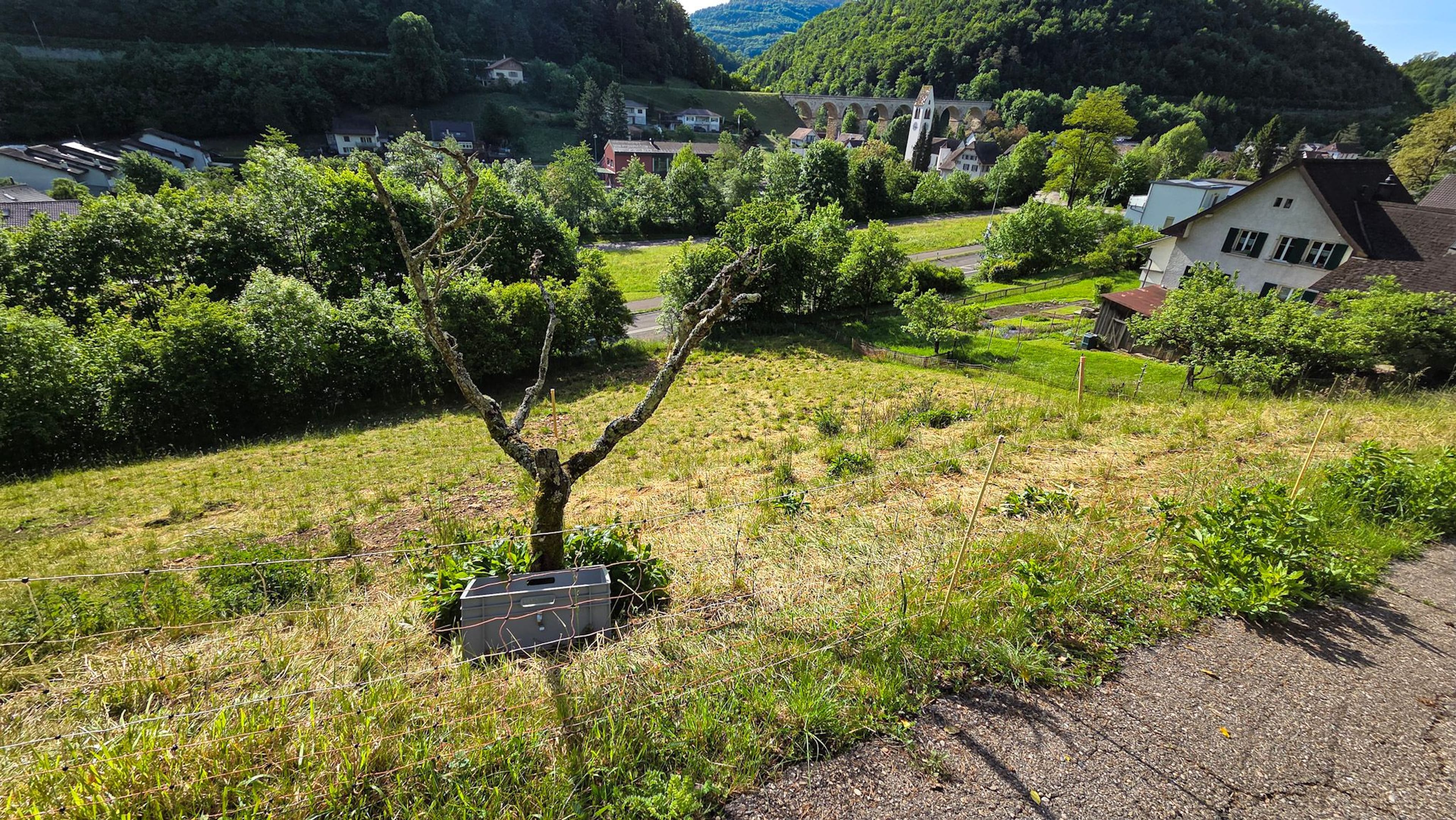 Bauland mit unverbaubarer Weitsicht in Rümlingen (2’024 m²) - 9