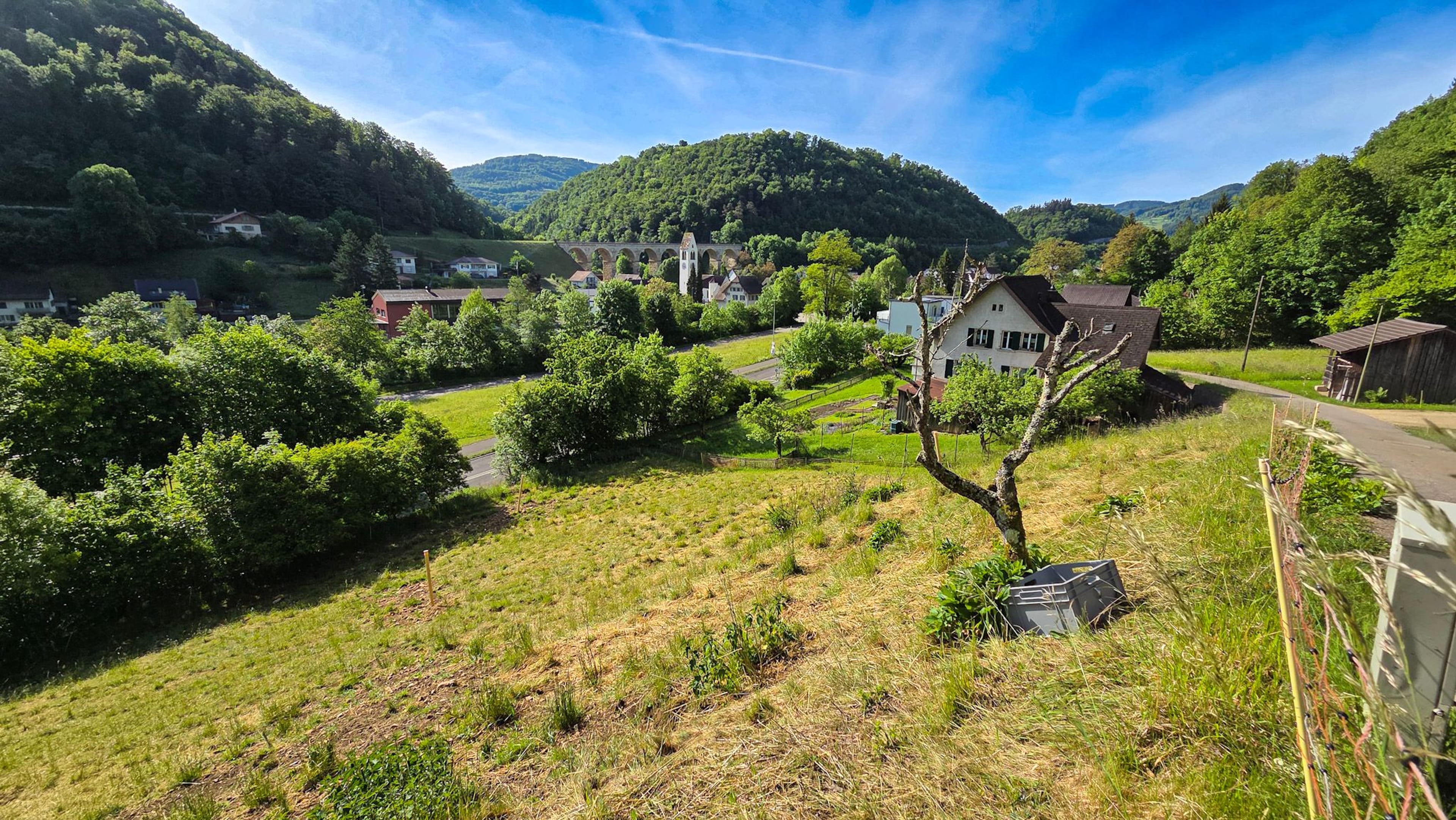 Bauland mit unverbaubarer Weitsicht in Rümlingen (2’024 m²) - 7