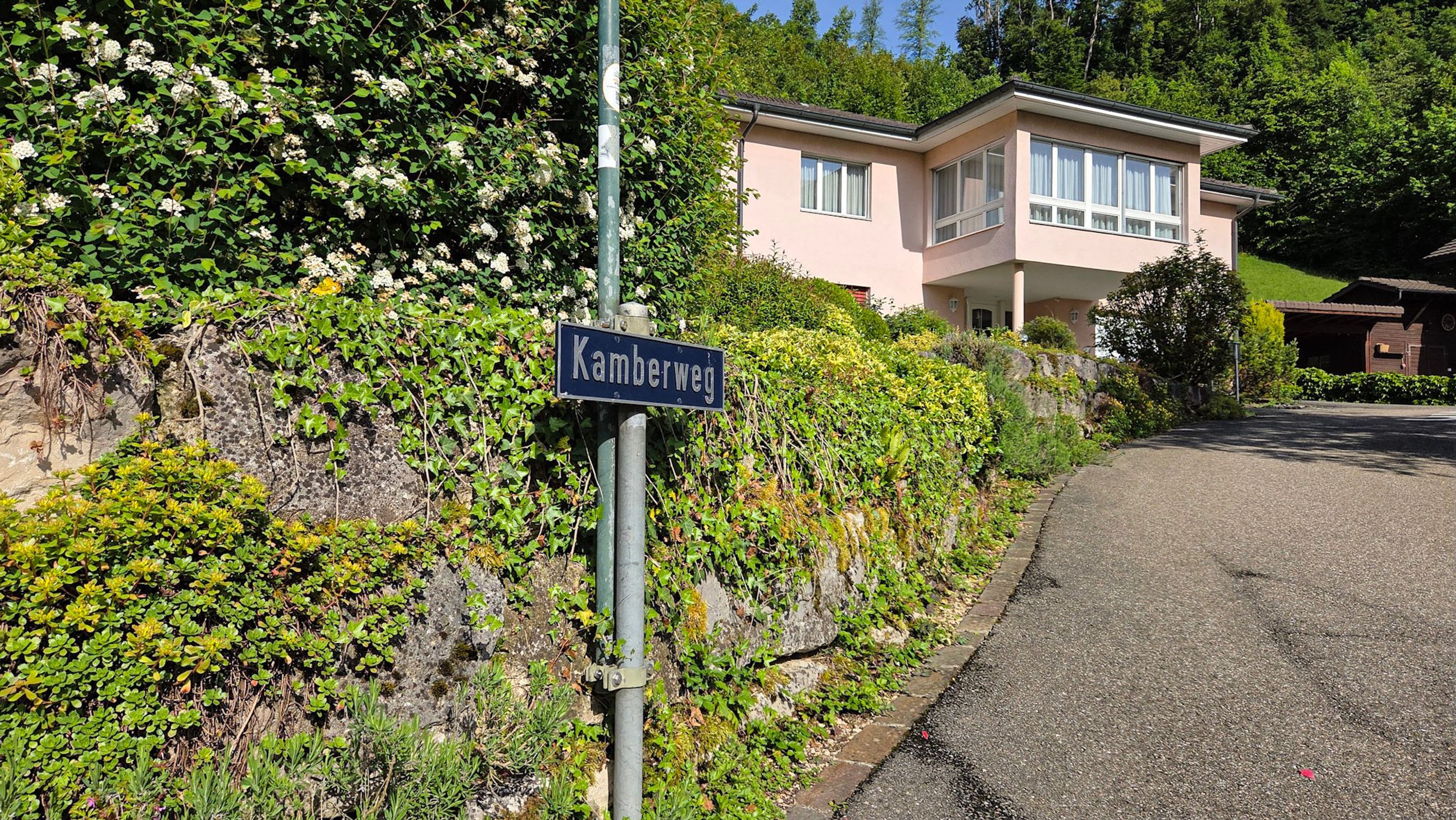 Bauland mit unverbaubarer Weitsicht in Rümlingen (2’024 m²) - Bild 3