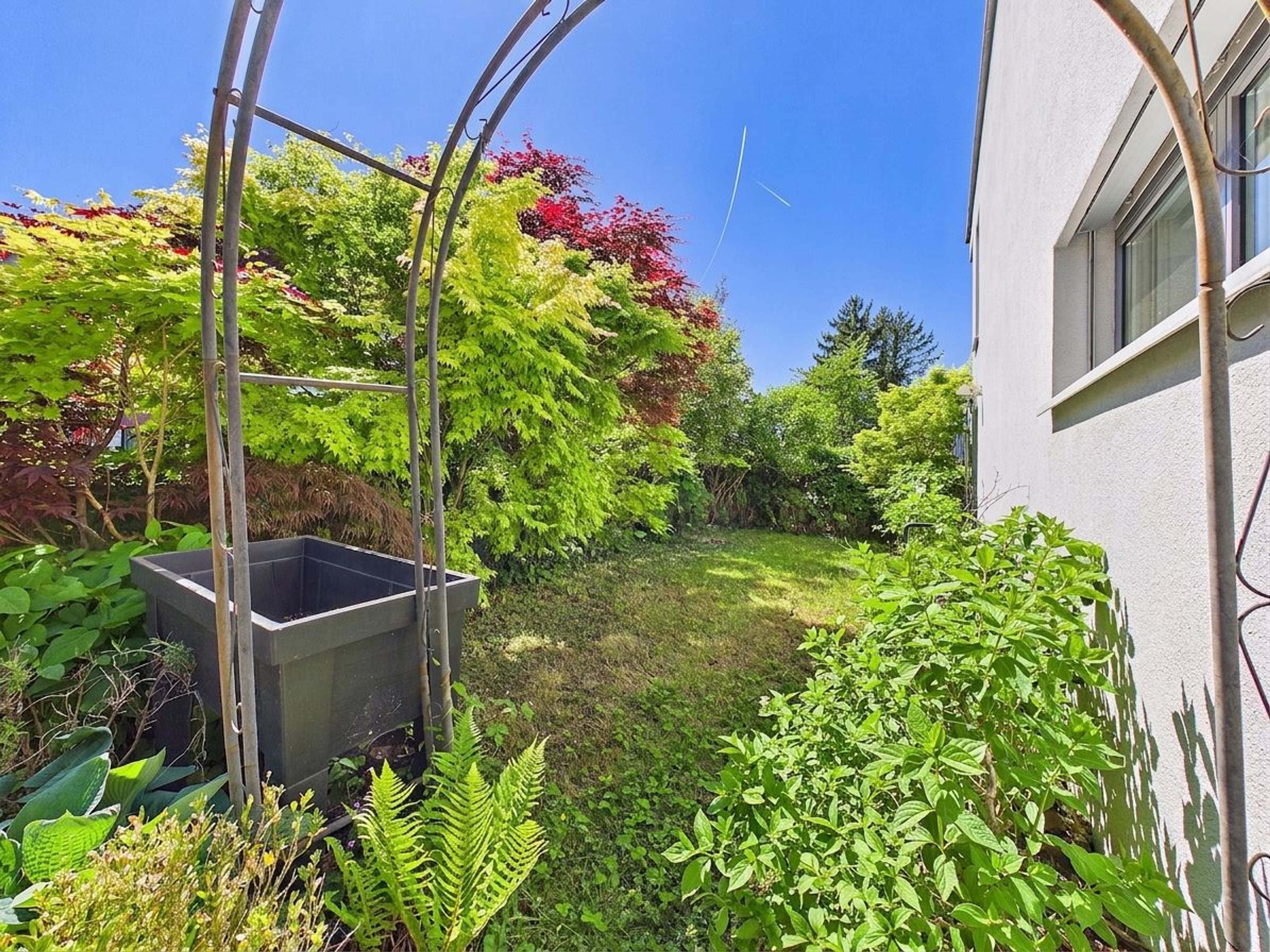 5,5 -Zimmer-Gartenwohnung mit verglaster Terrasse an zentraler Lage in Zollikon - Bild 3