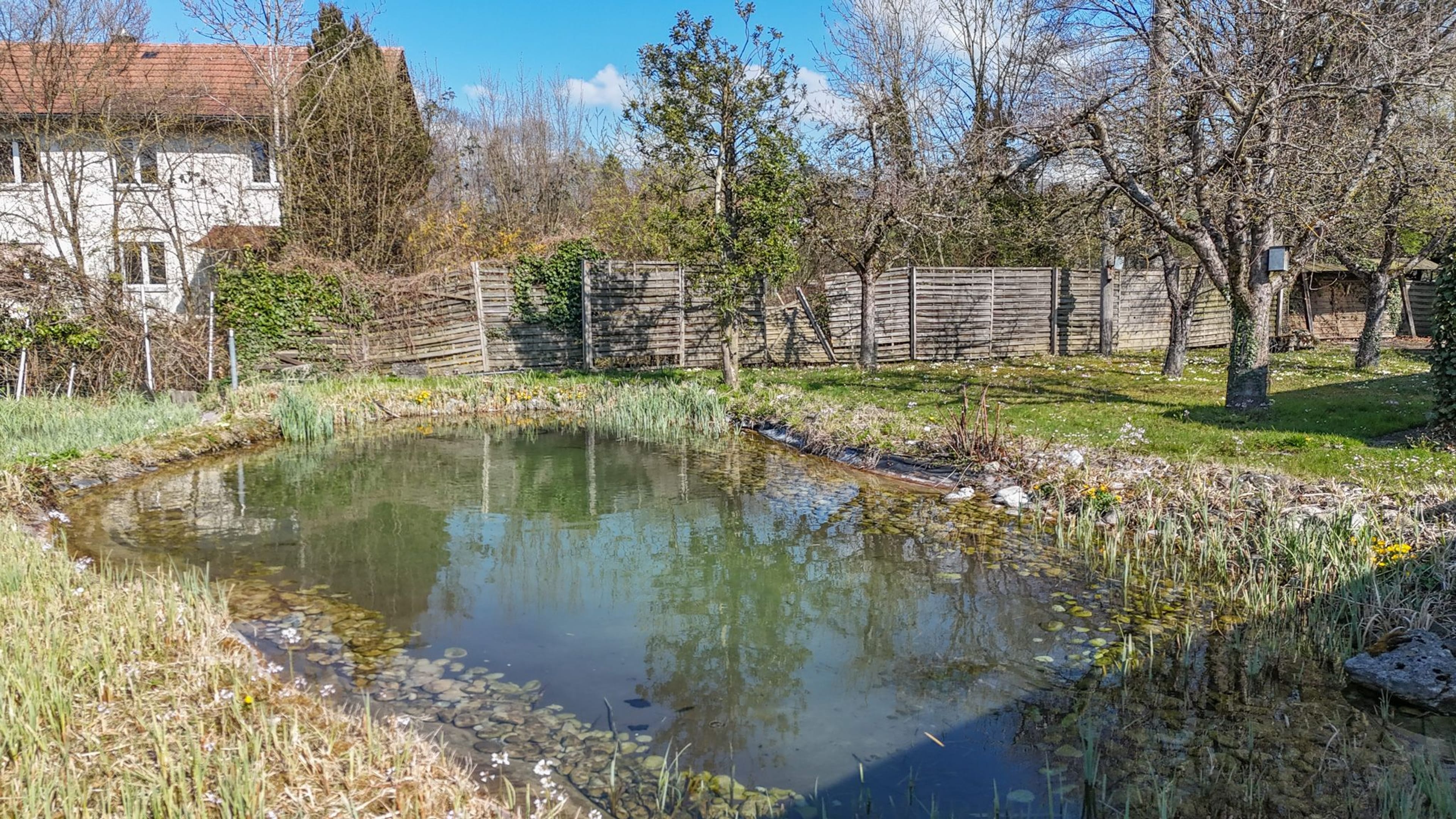 Einfamilienhaus mit Gartenhaus und viel Platz für Tiere und Hobbys - 25