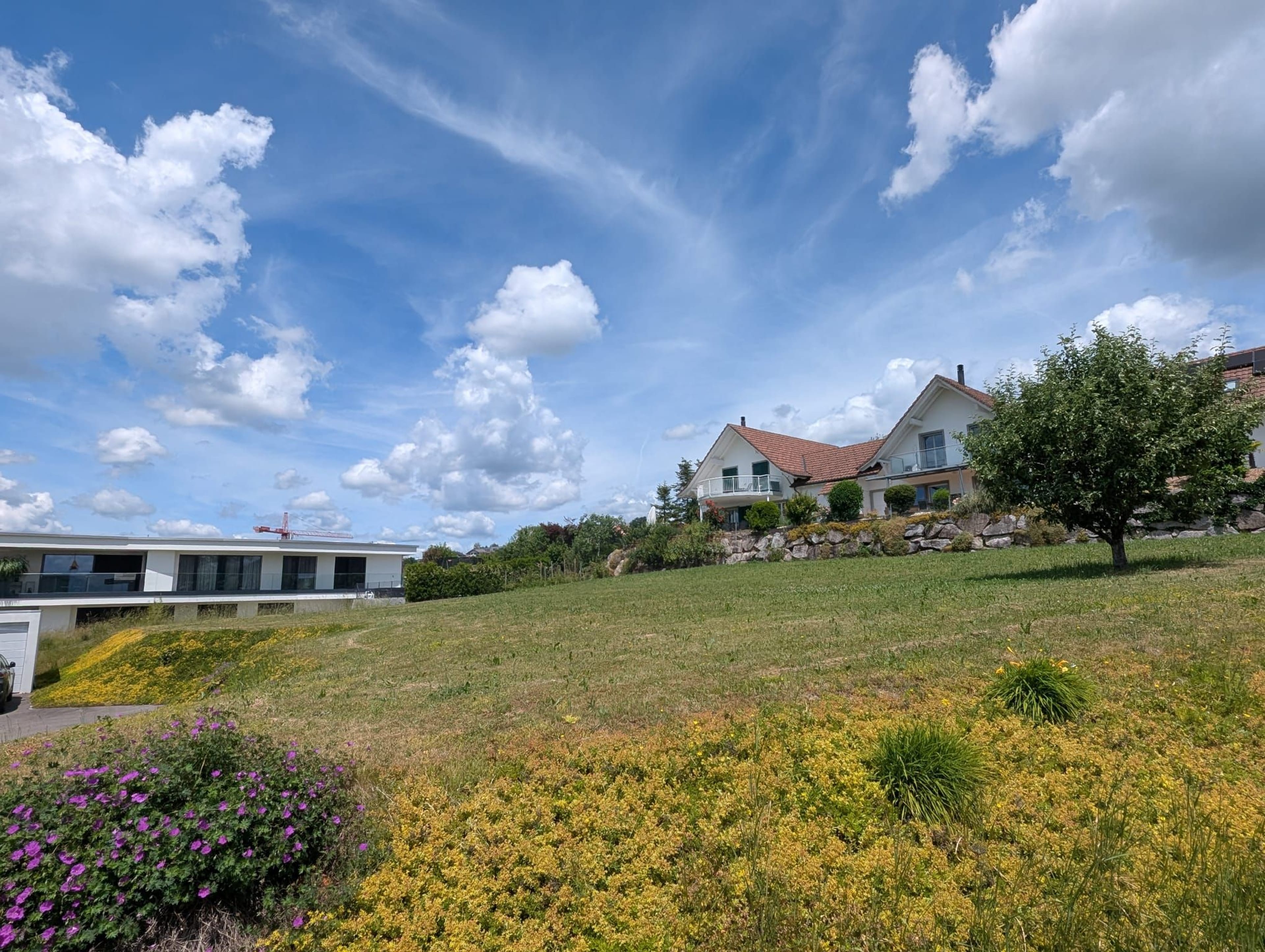 1'283m² Bauland in Oberwil-Lieli - Bild 5