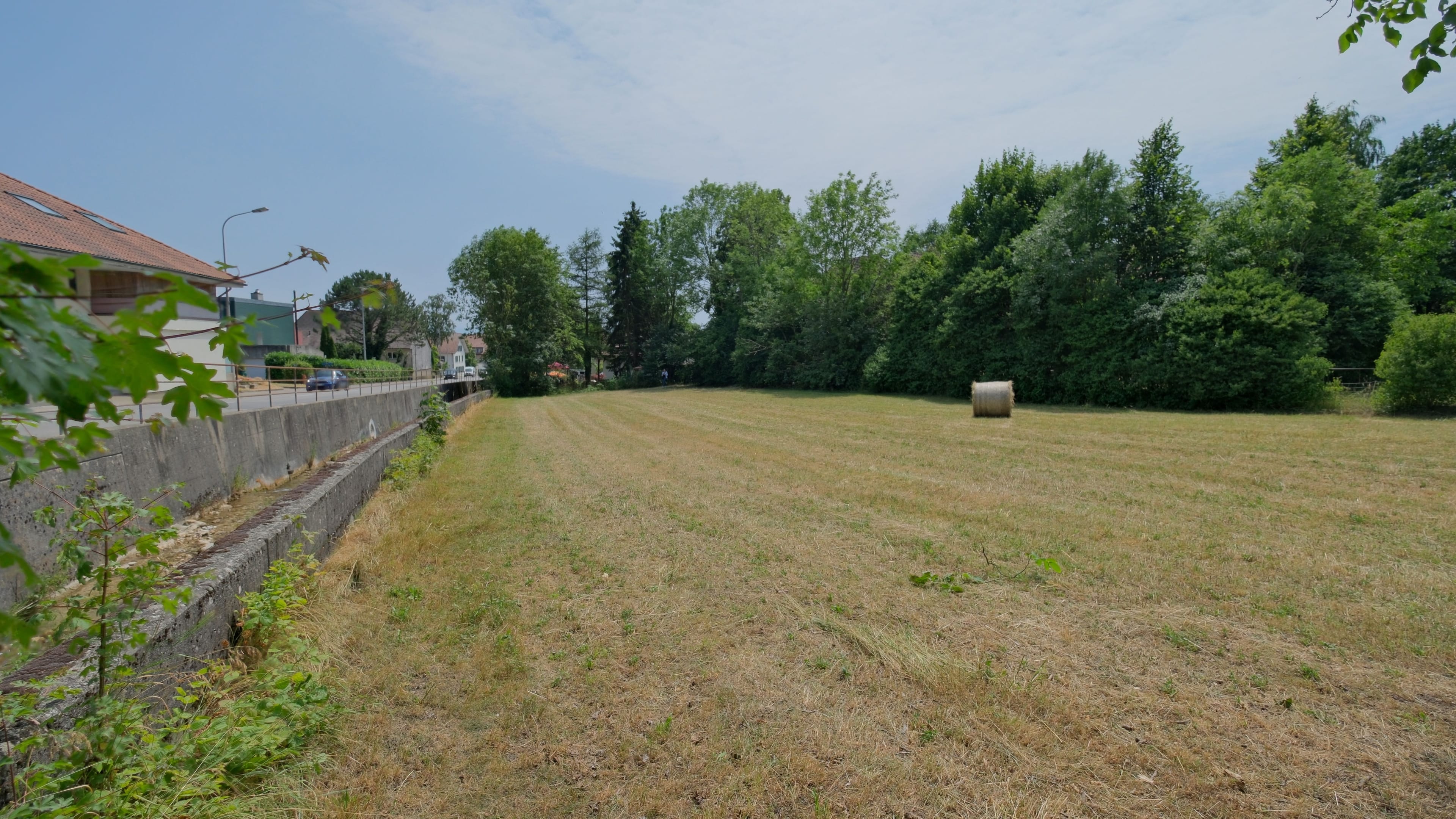 1'691 m² Landparzelle in Langendorf - Bild 5