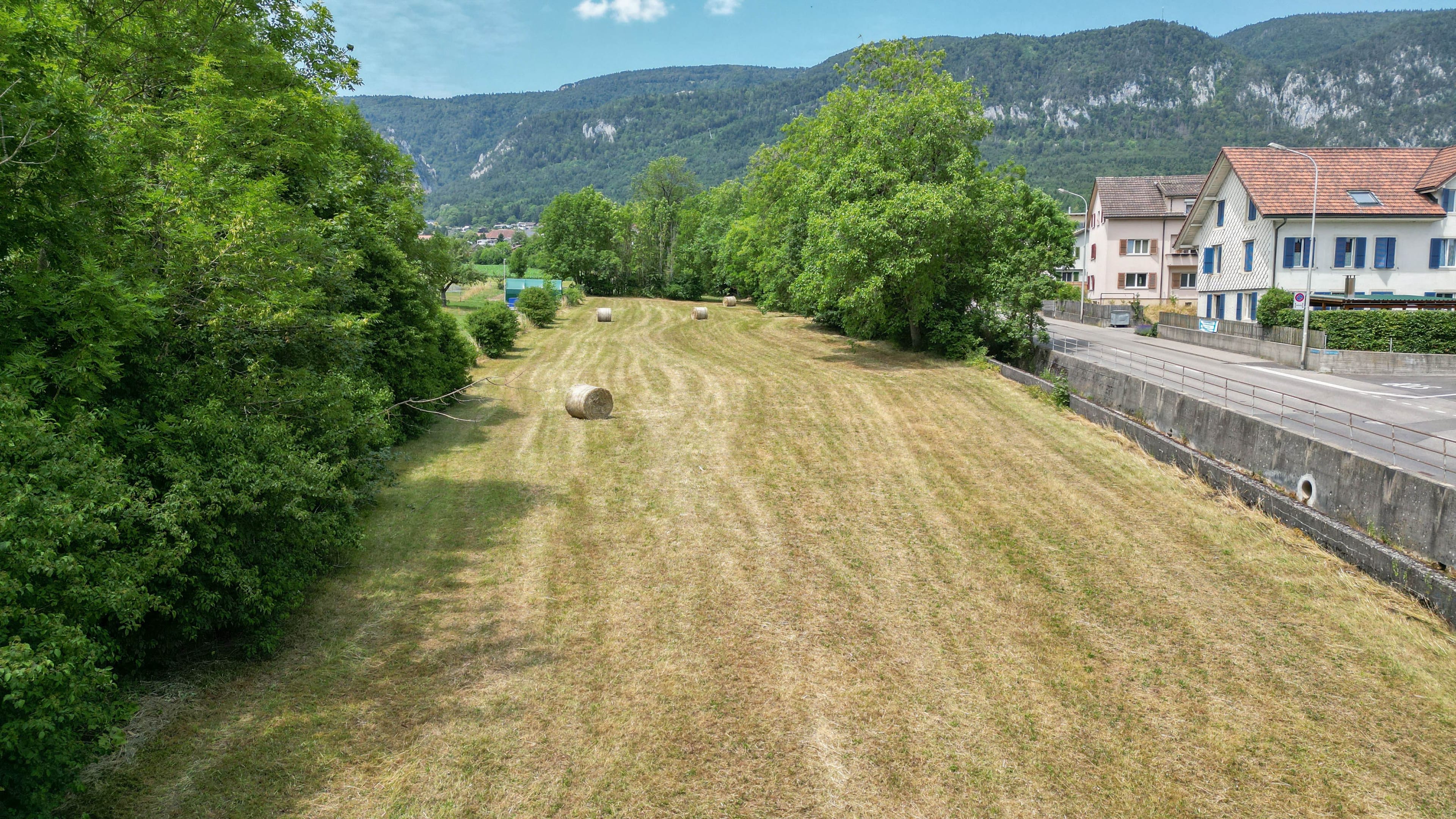 1'691 m² Landparzelle in Langendorf - Bild 6
