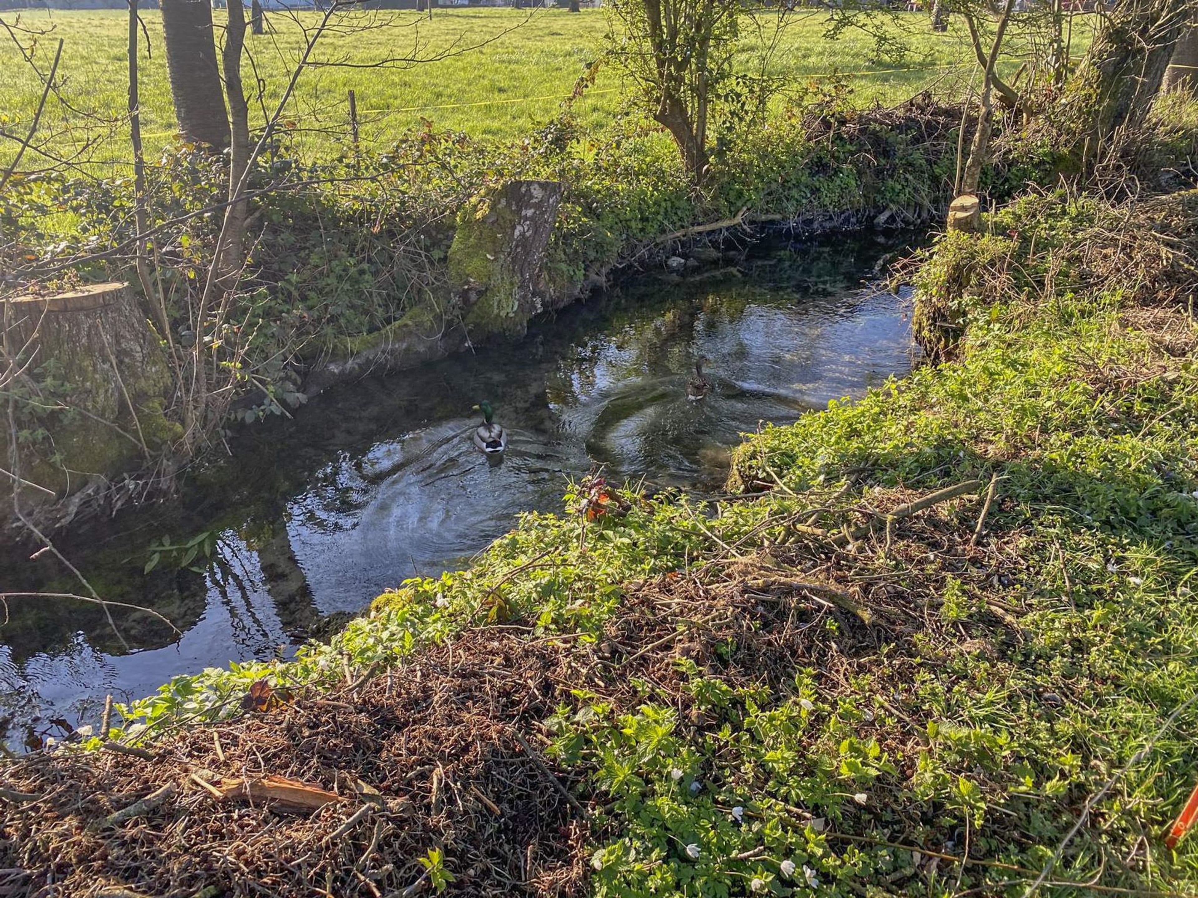 Grosses Bauernhaus direkt am Bach mit Landparzelle und Ausbaupotenzial - Bild 17