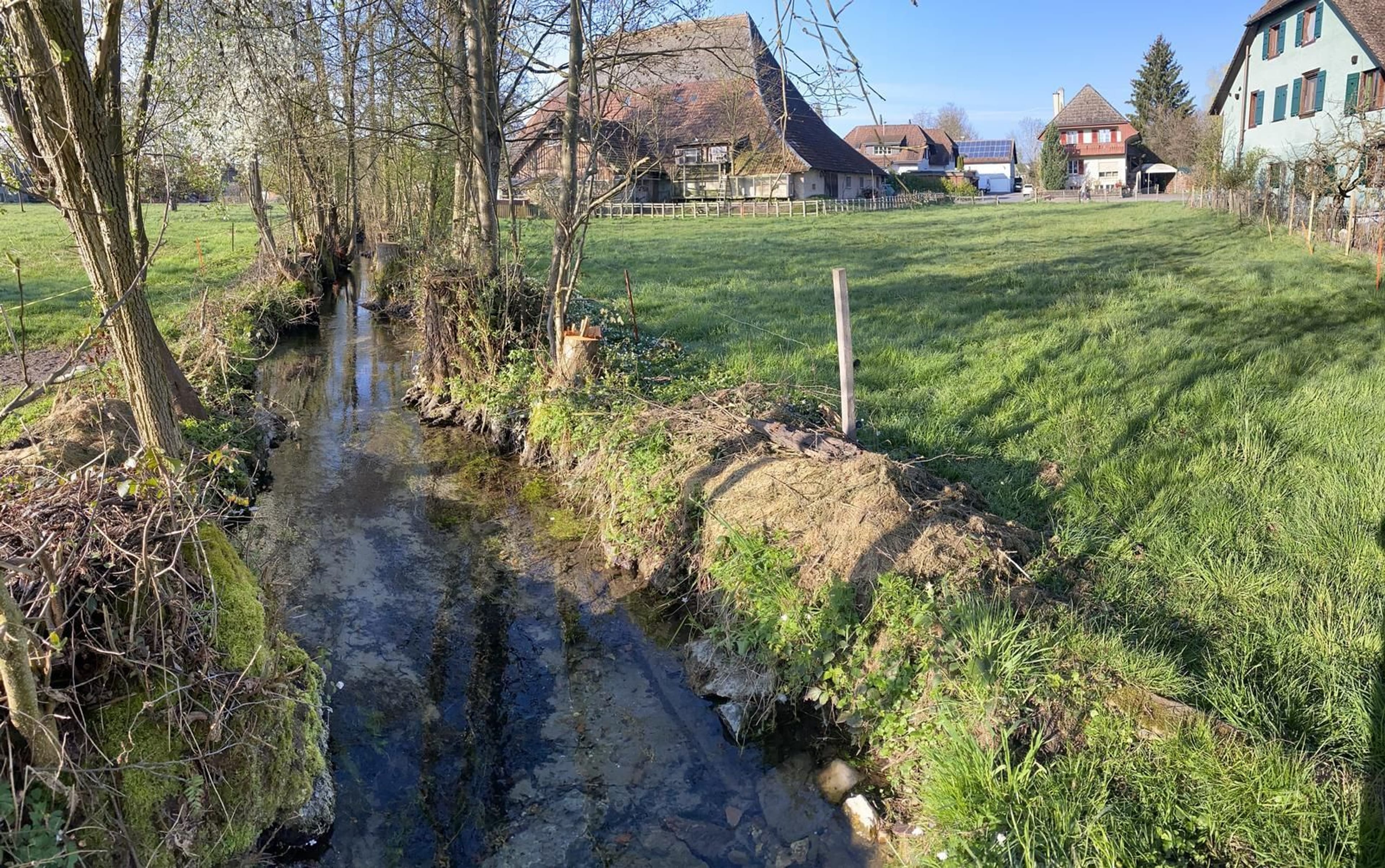 Grosses Bauernhaus direkt am Bach mit Landparzelle und Ausbaupotenzial - Bild 18