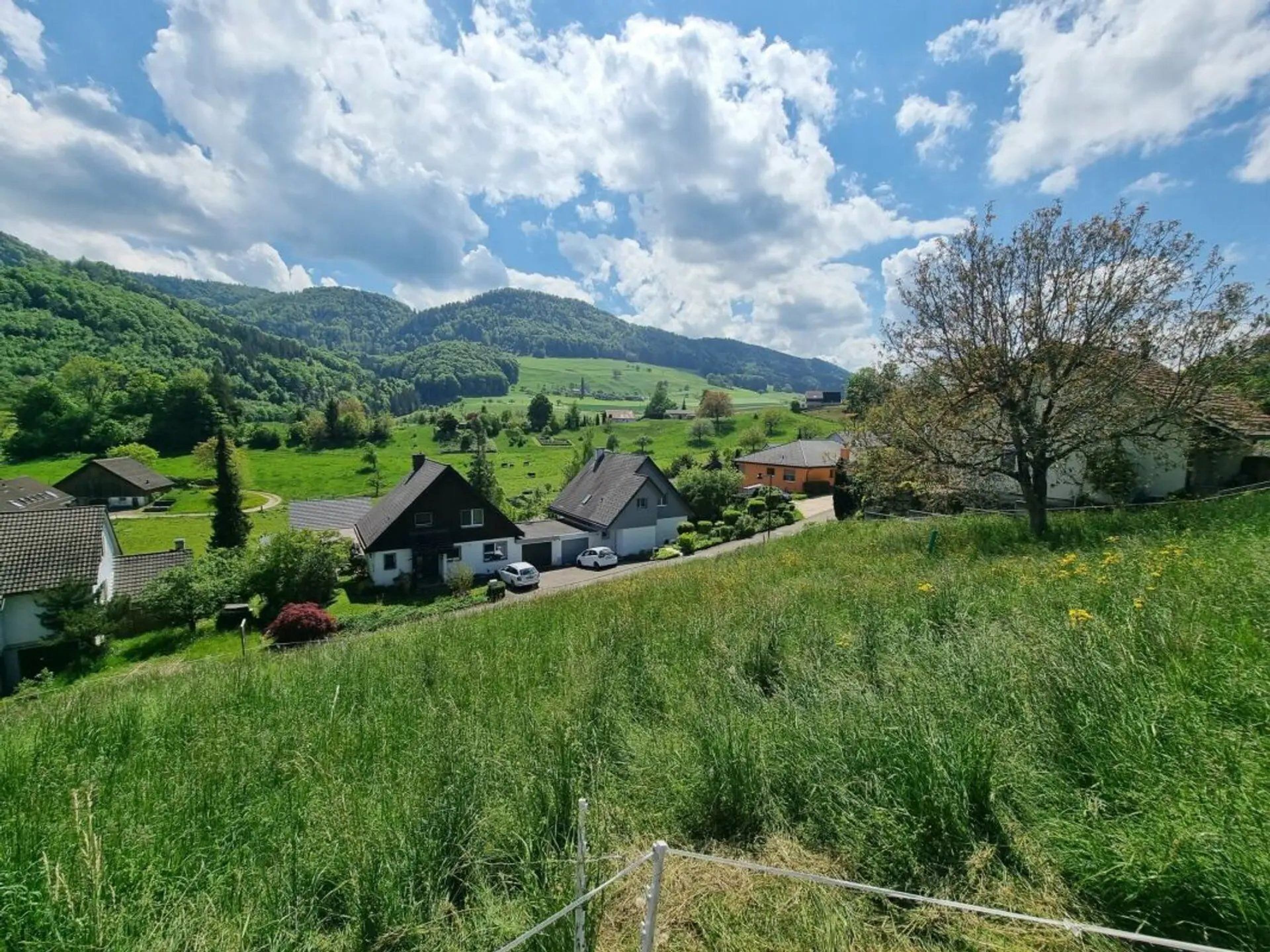 Grosses Baugrundstück mit Weitsicht in Bretzwil kaufen - 5