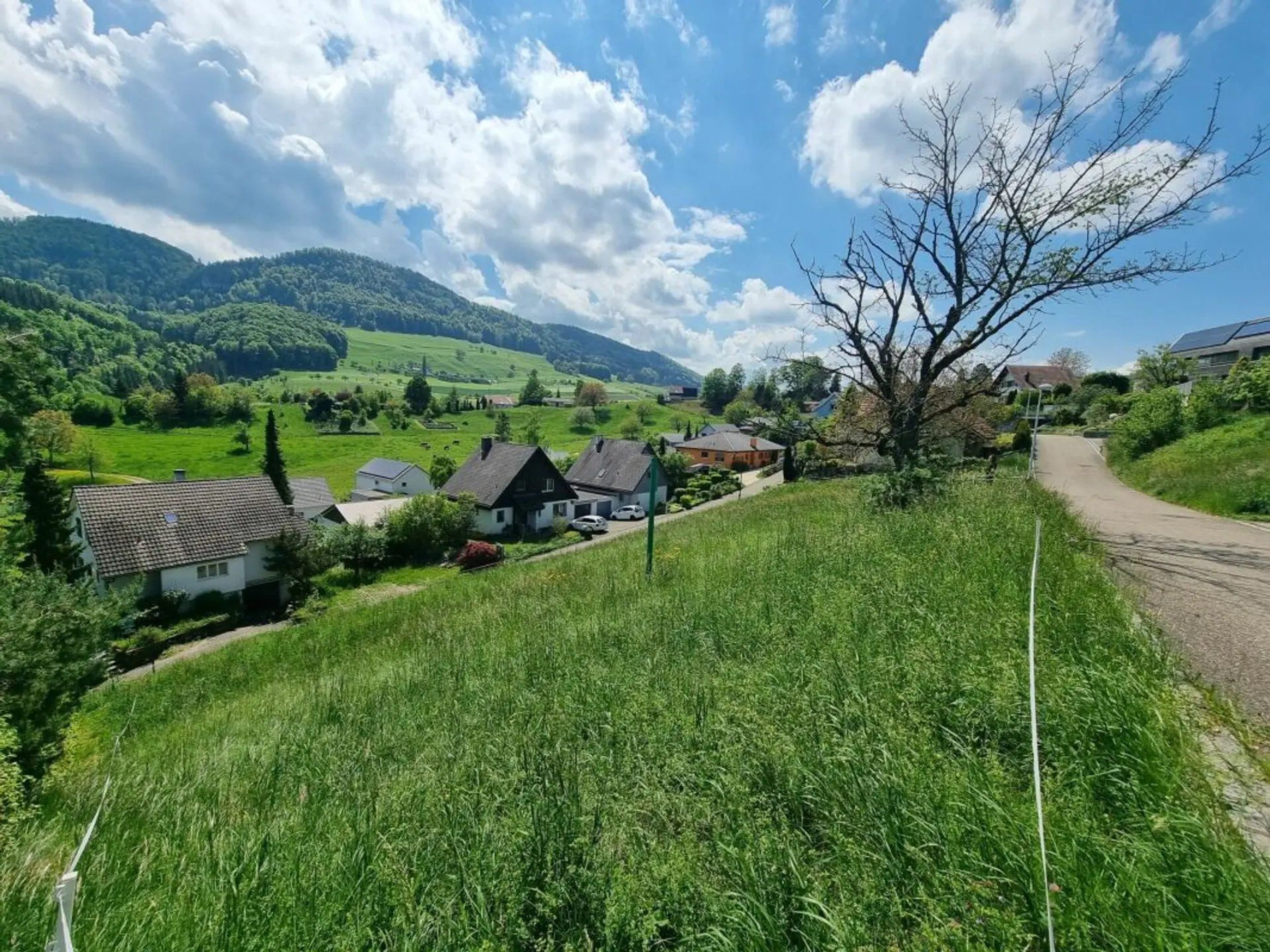 Grosses Baugrundstück mit Weitsicht in Bretzwil kaufen - 2
