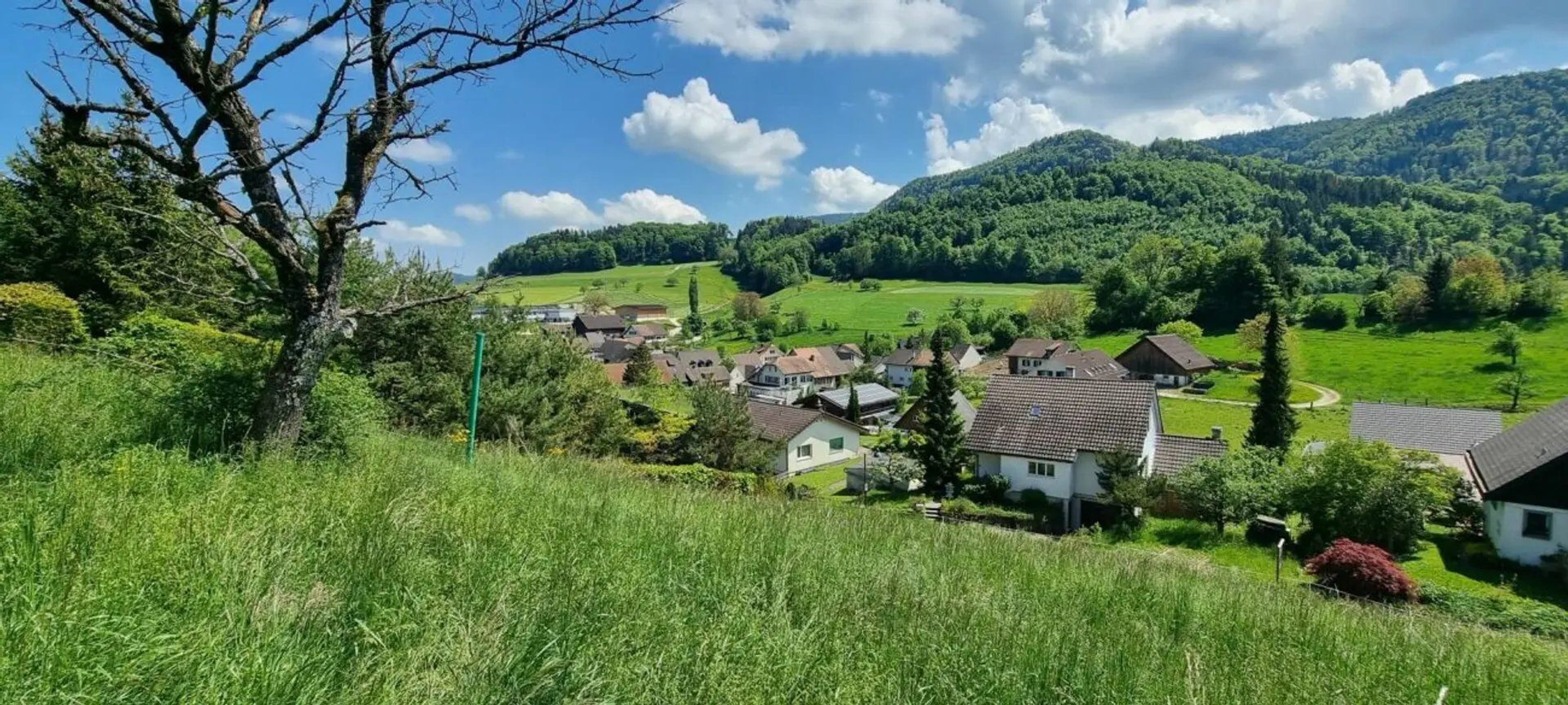 Grosses Baugrundstück mit Weitsicht in Bretzwil kaufen - 4