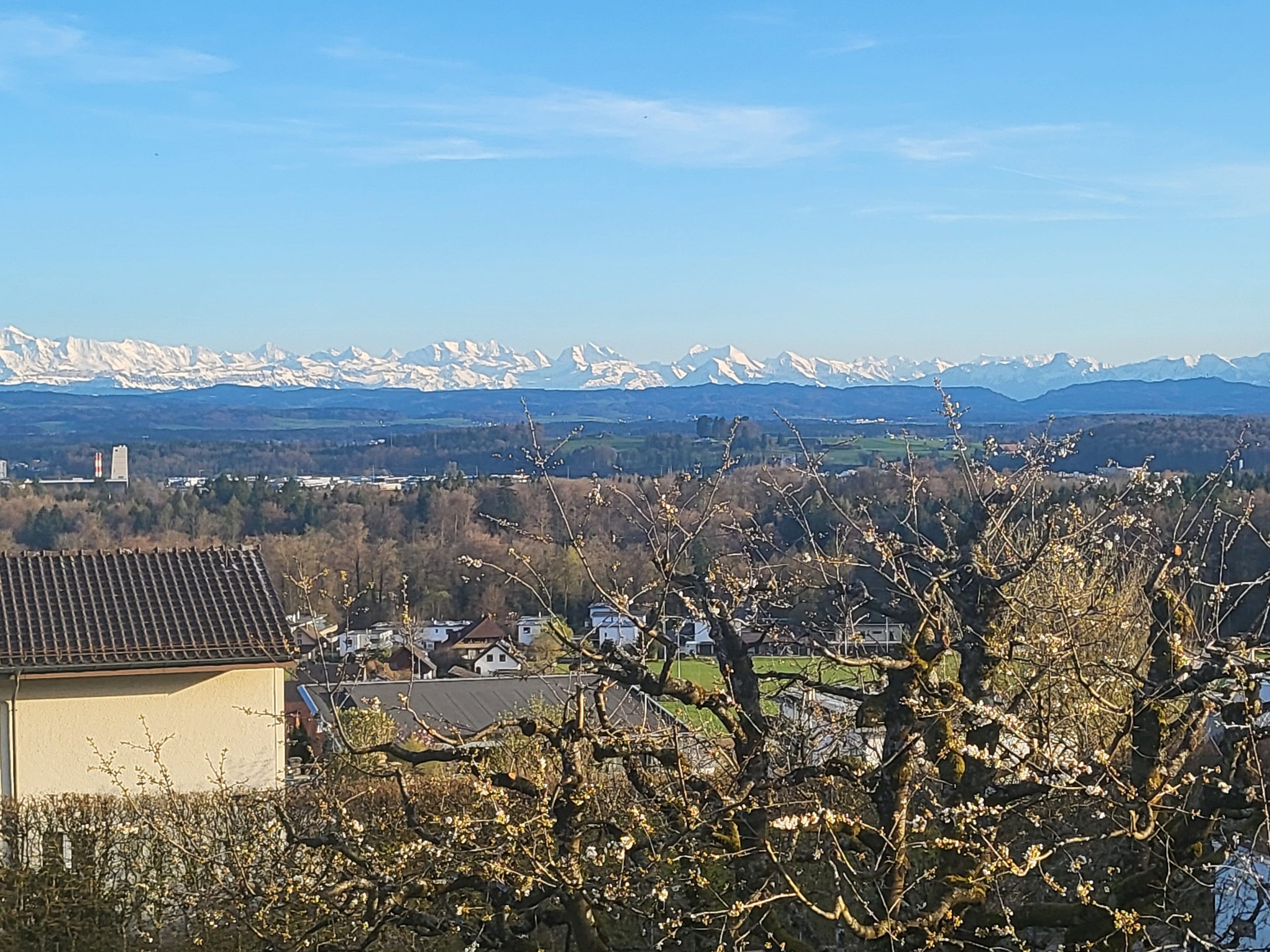 Lichtdurchflutetes Einfamilienhaus mit einzigartigem Alpenpanorama - 33