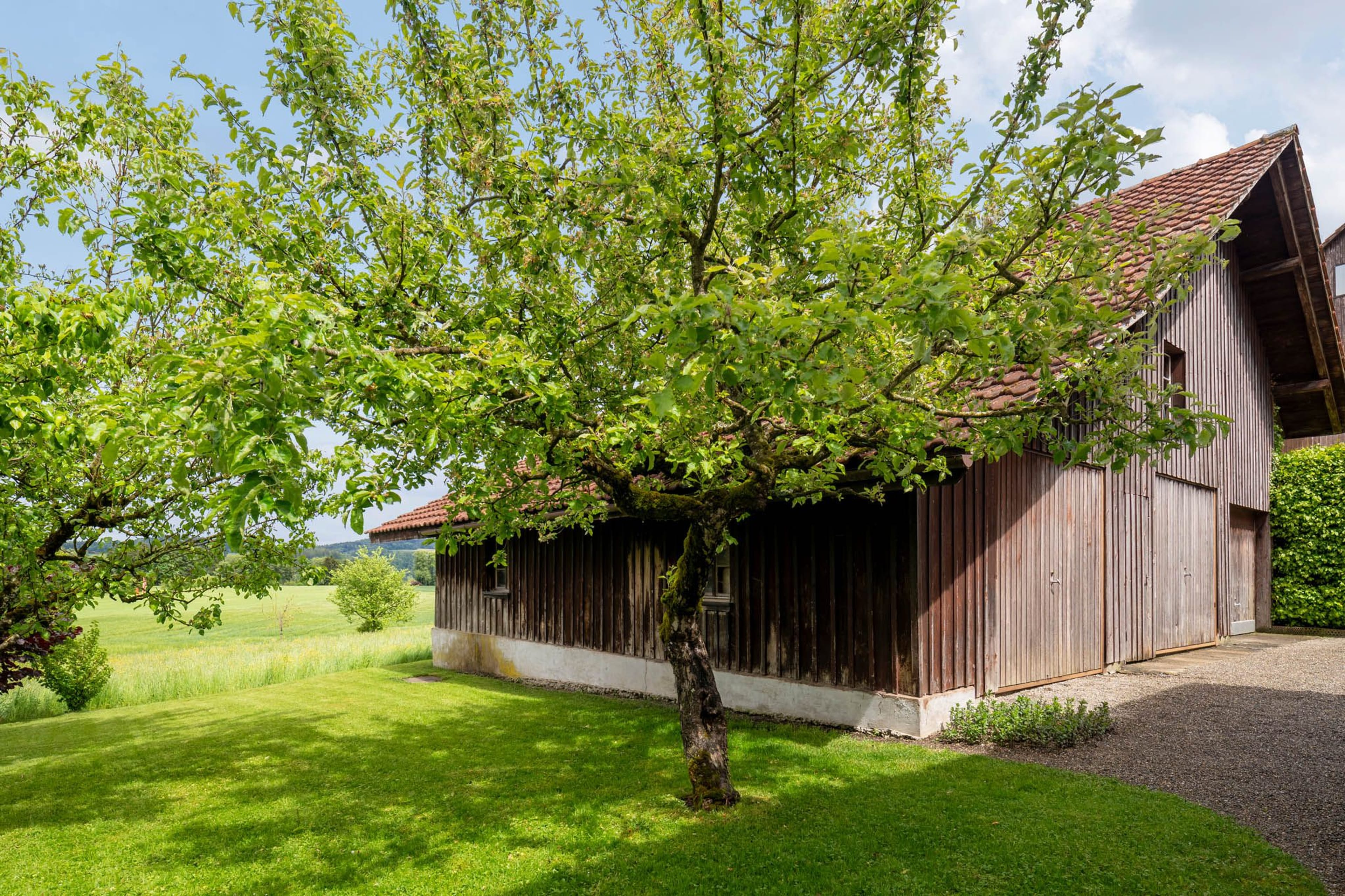 Bauparzelle mit Potenzial in Wildberg - 1’162 m² kaufen - Bild 4