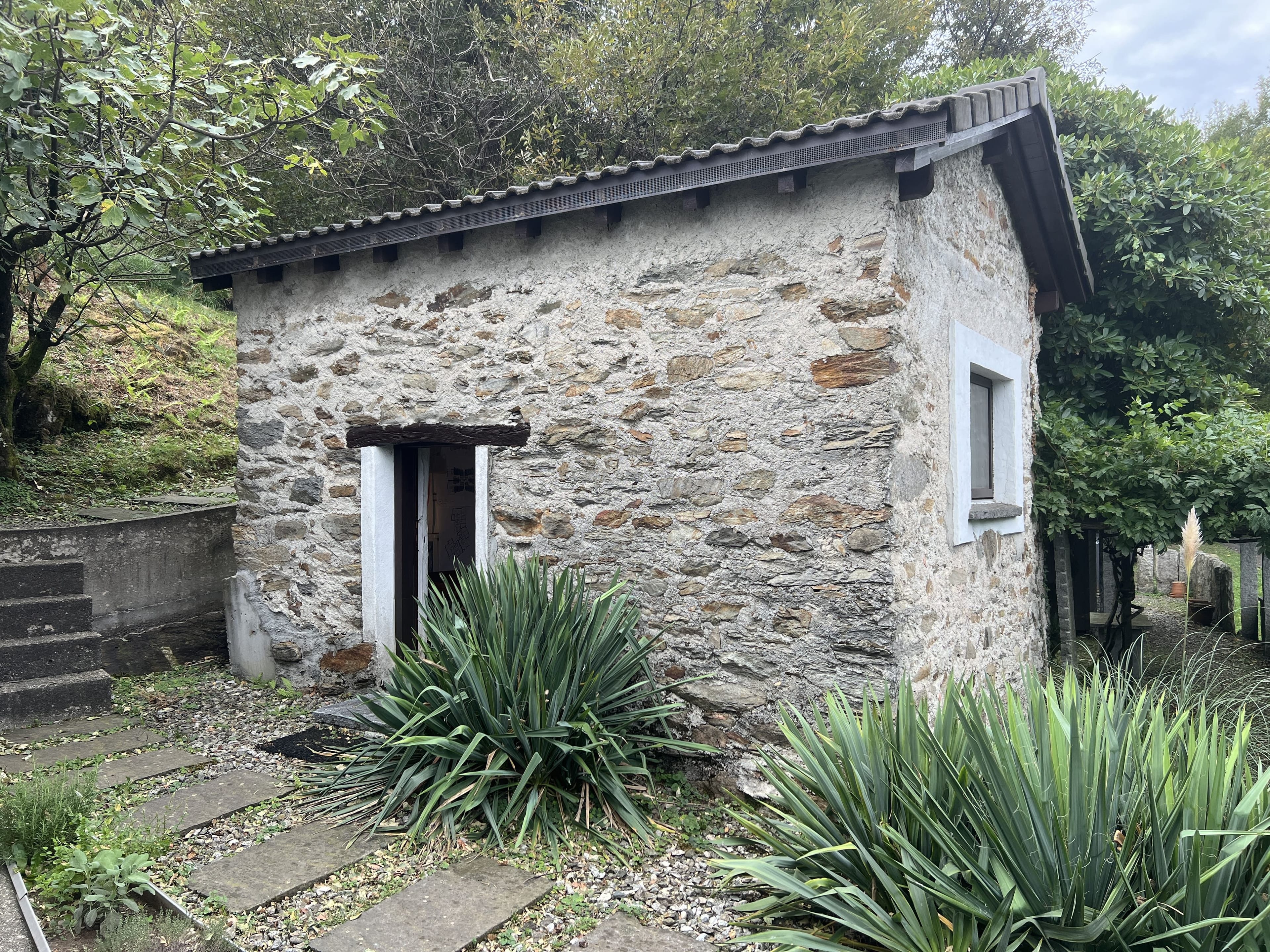 3.5-Zimmer-Rustico mit viel Land in S. Antonino kaufen - 4