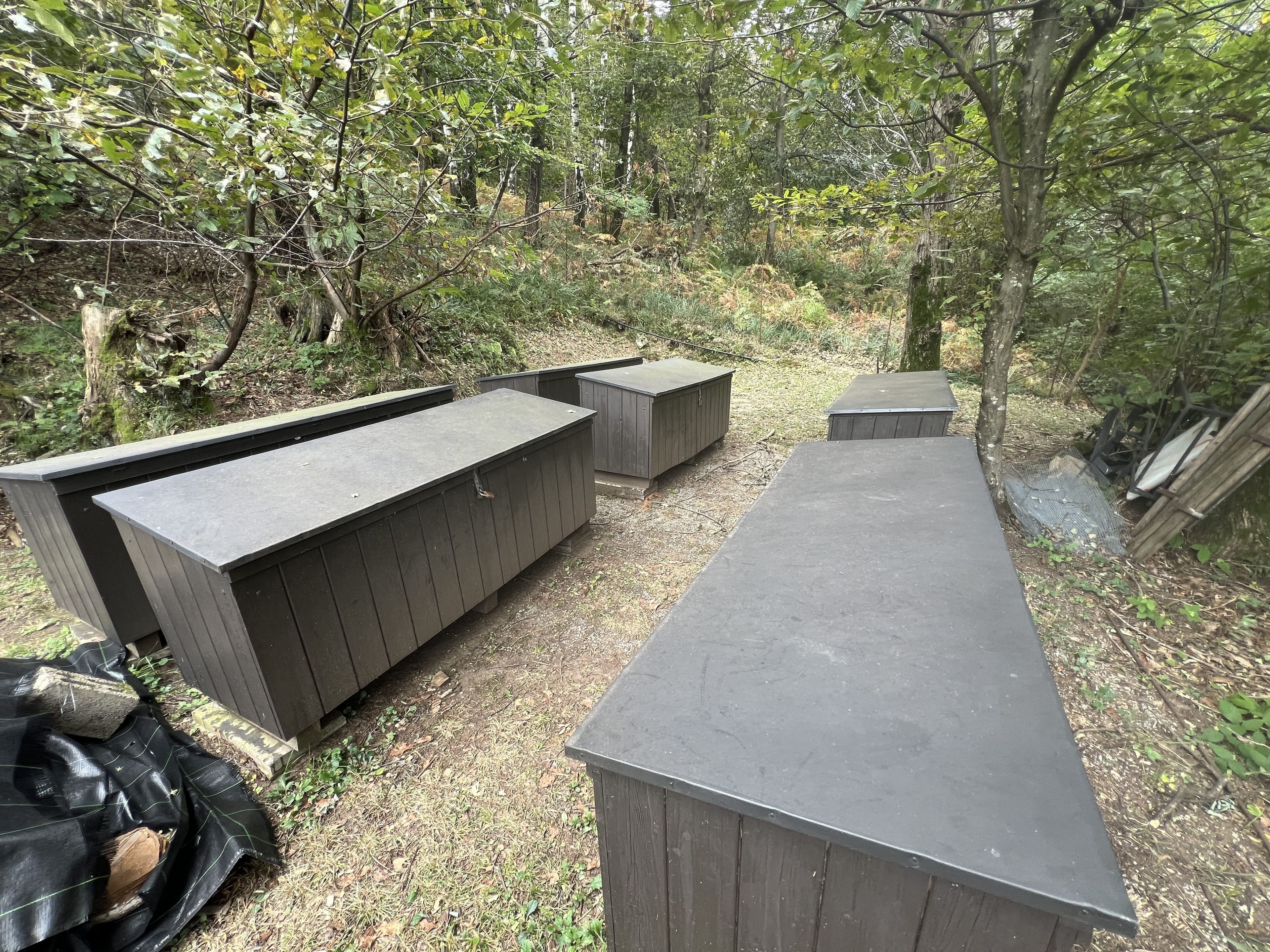 3.5-Zimmer-Rustico mit viel Land in S. Antonino kaufen - 21