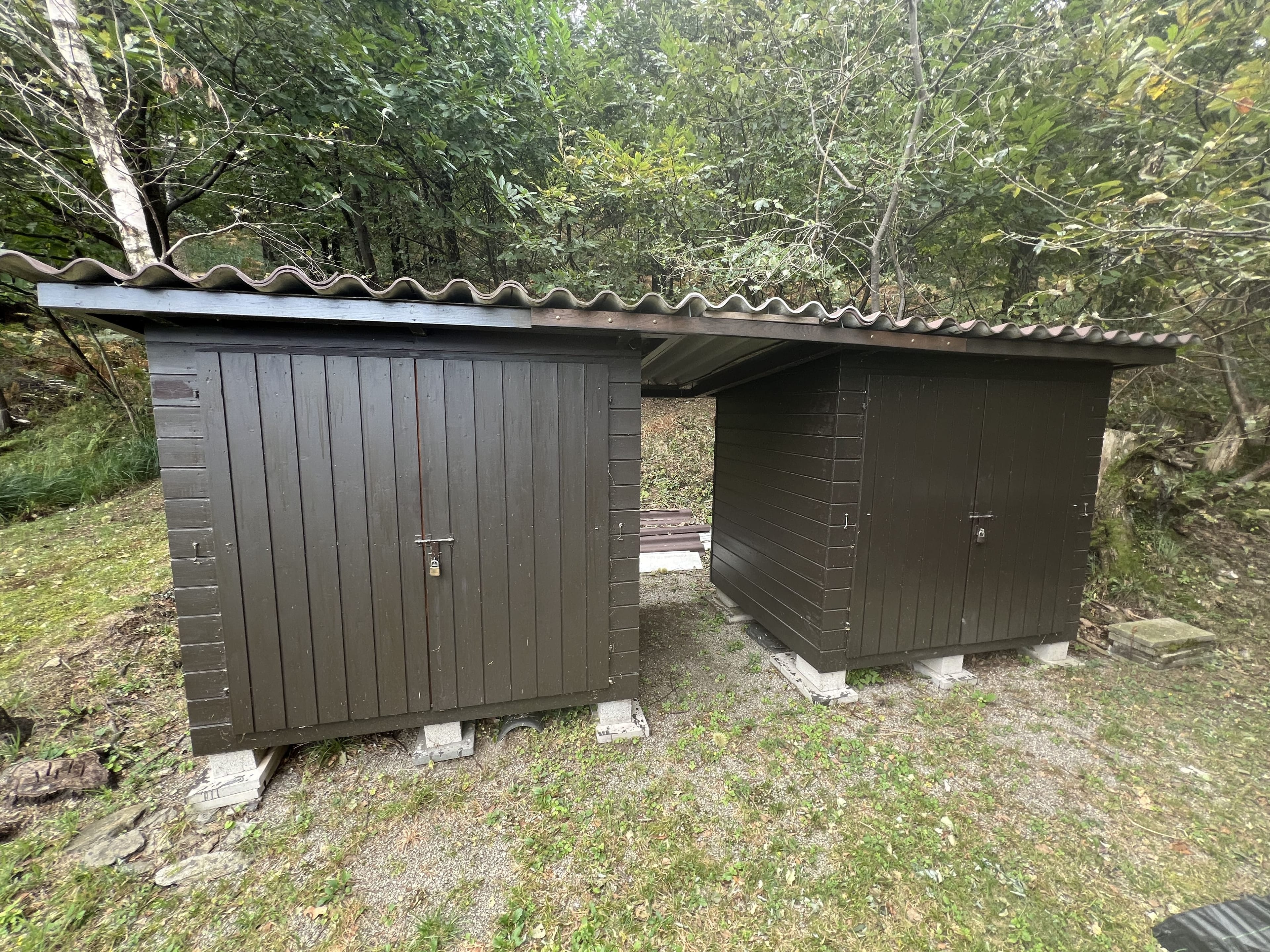 3.5-Zimmer-Rustico mit viel Land in S. Antonino kaufen - 22