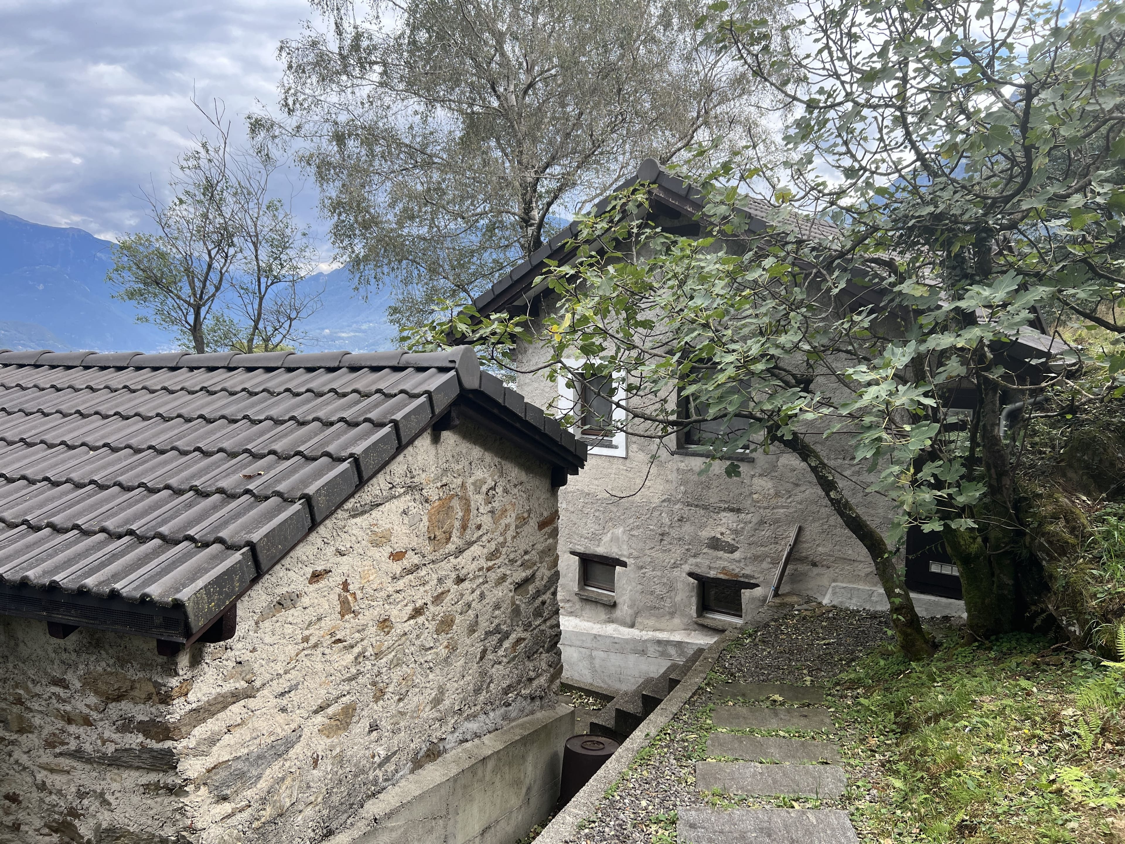 3.5-Zimmer-Rustico mit viel Land in S. Antonino kaufen - 1