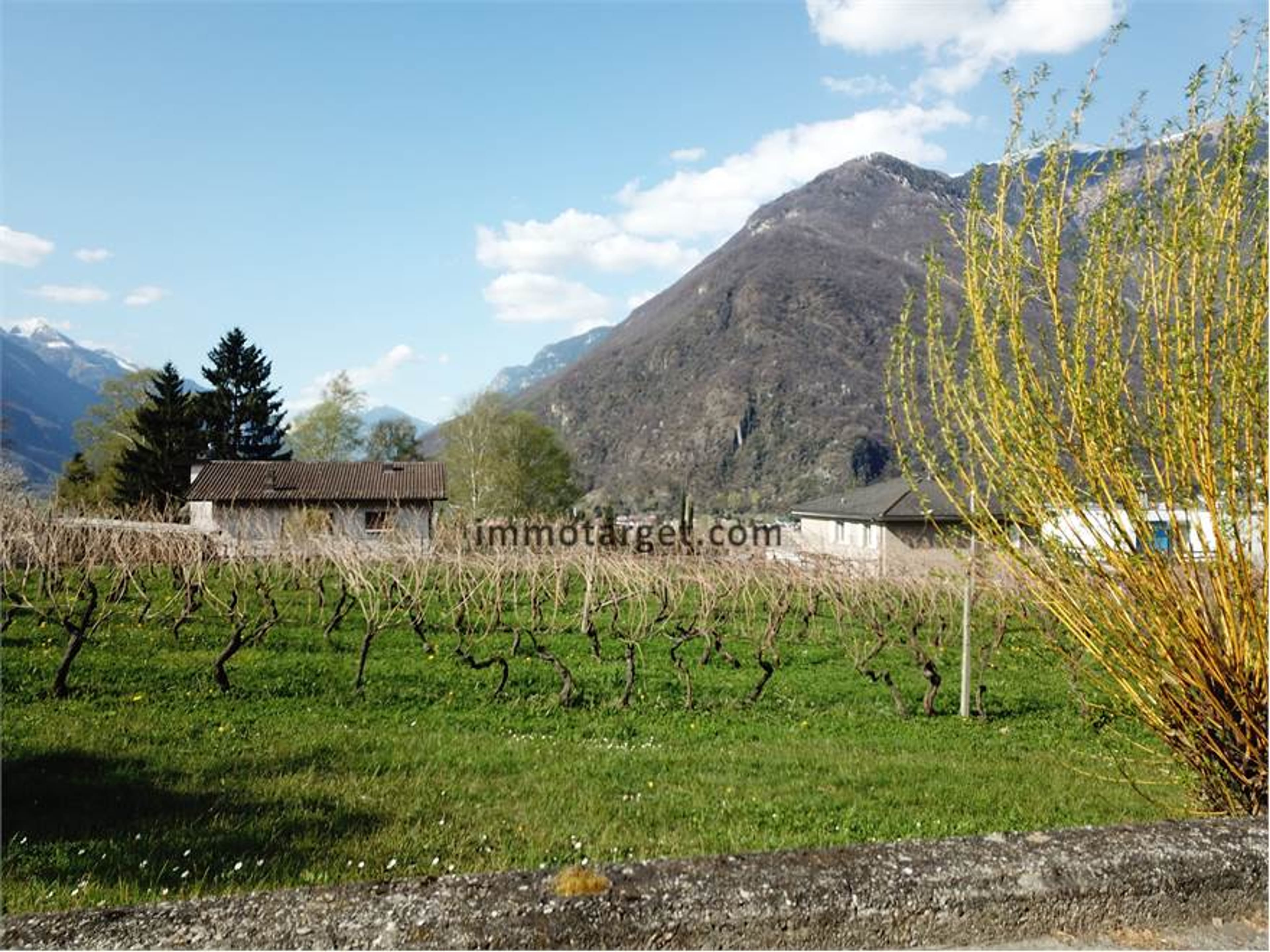 Terreno edificabile soleggiato in zona tranquilla ad Arbedo