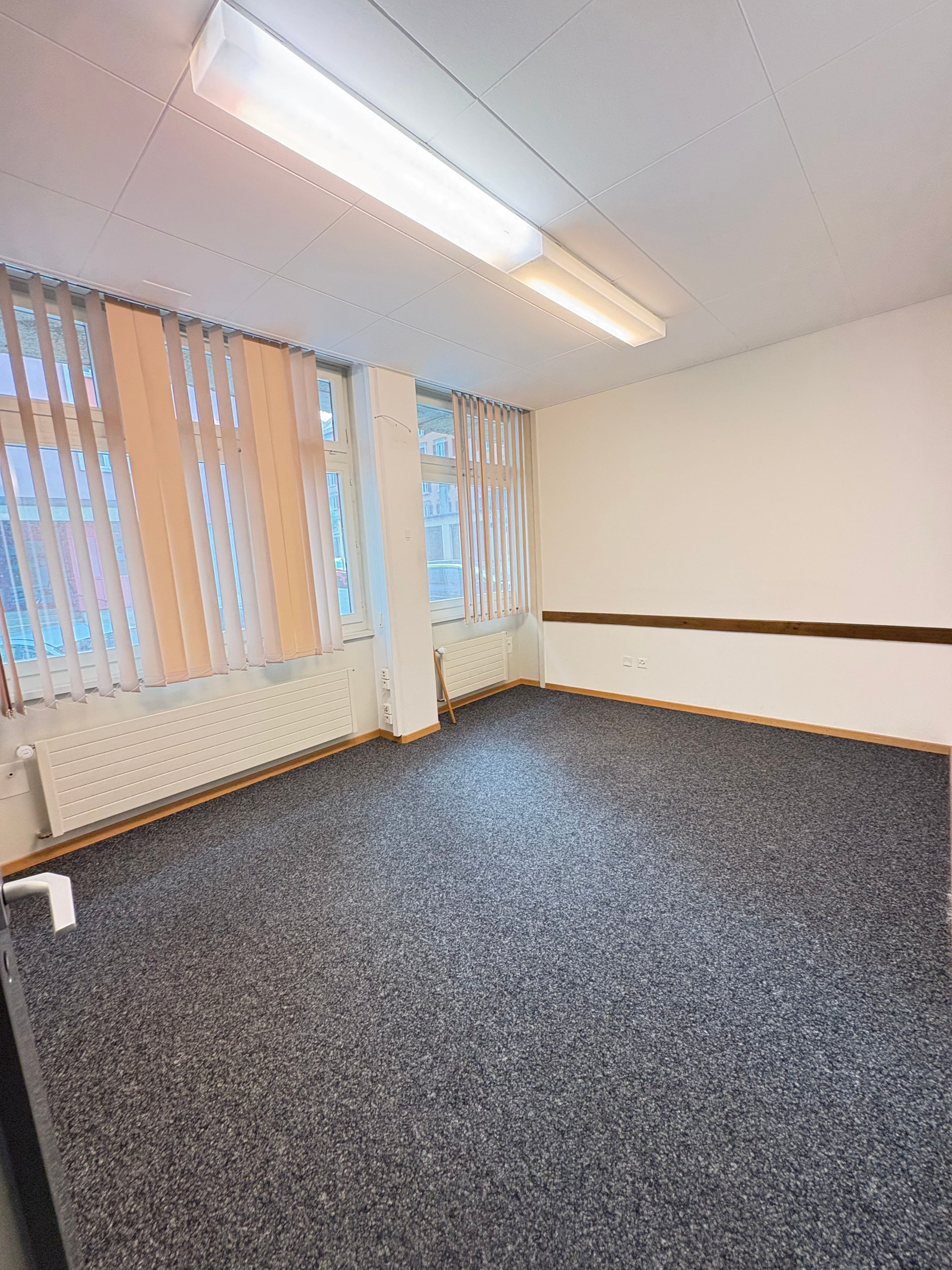 Bureaux/locaux 102-402 m², haute visibilité - La Chaux-de-Fonds - 19