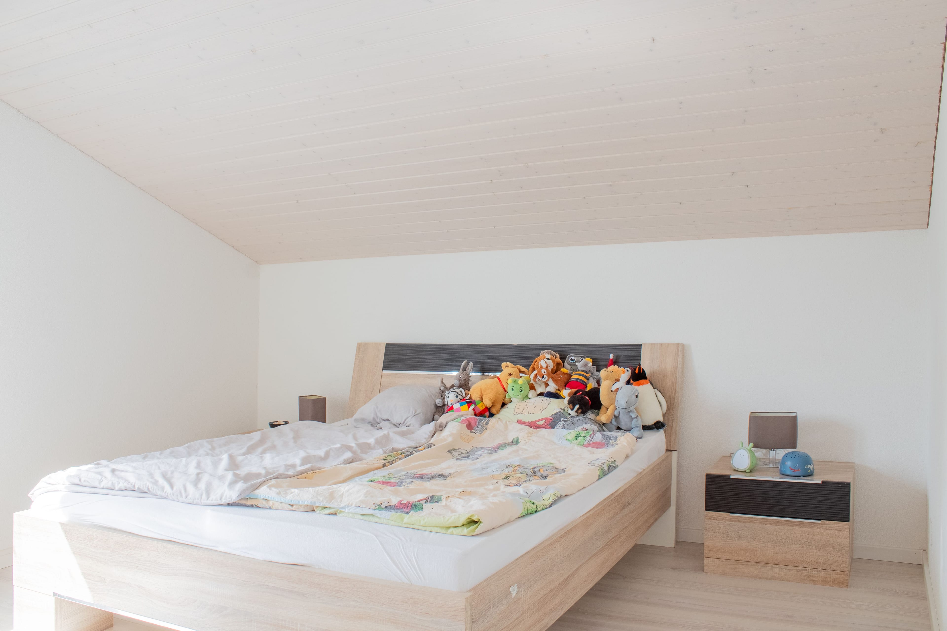 Modernes, helles 5.5-Zimmer Einfamilienhaus in Gutenburg - 5