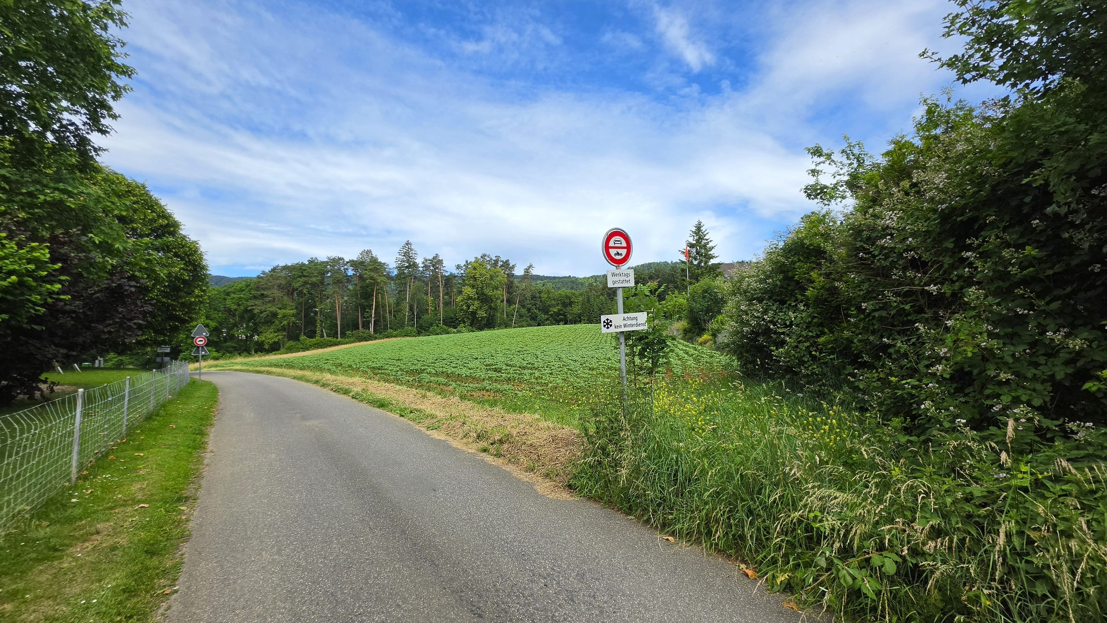 6.5-Zi.-Einfamilienhaus mit grossem Garten in Lupsingen - 13