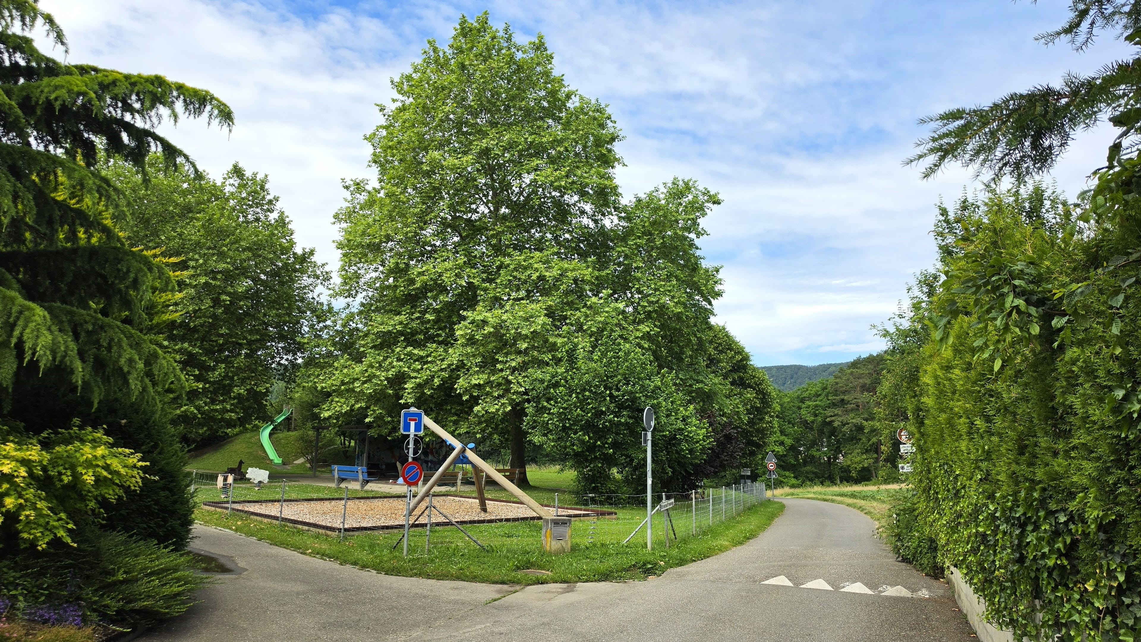 6.5-Zi.-Einfamilienhaus mit grossem Garten in Lupsingen - 14