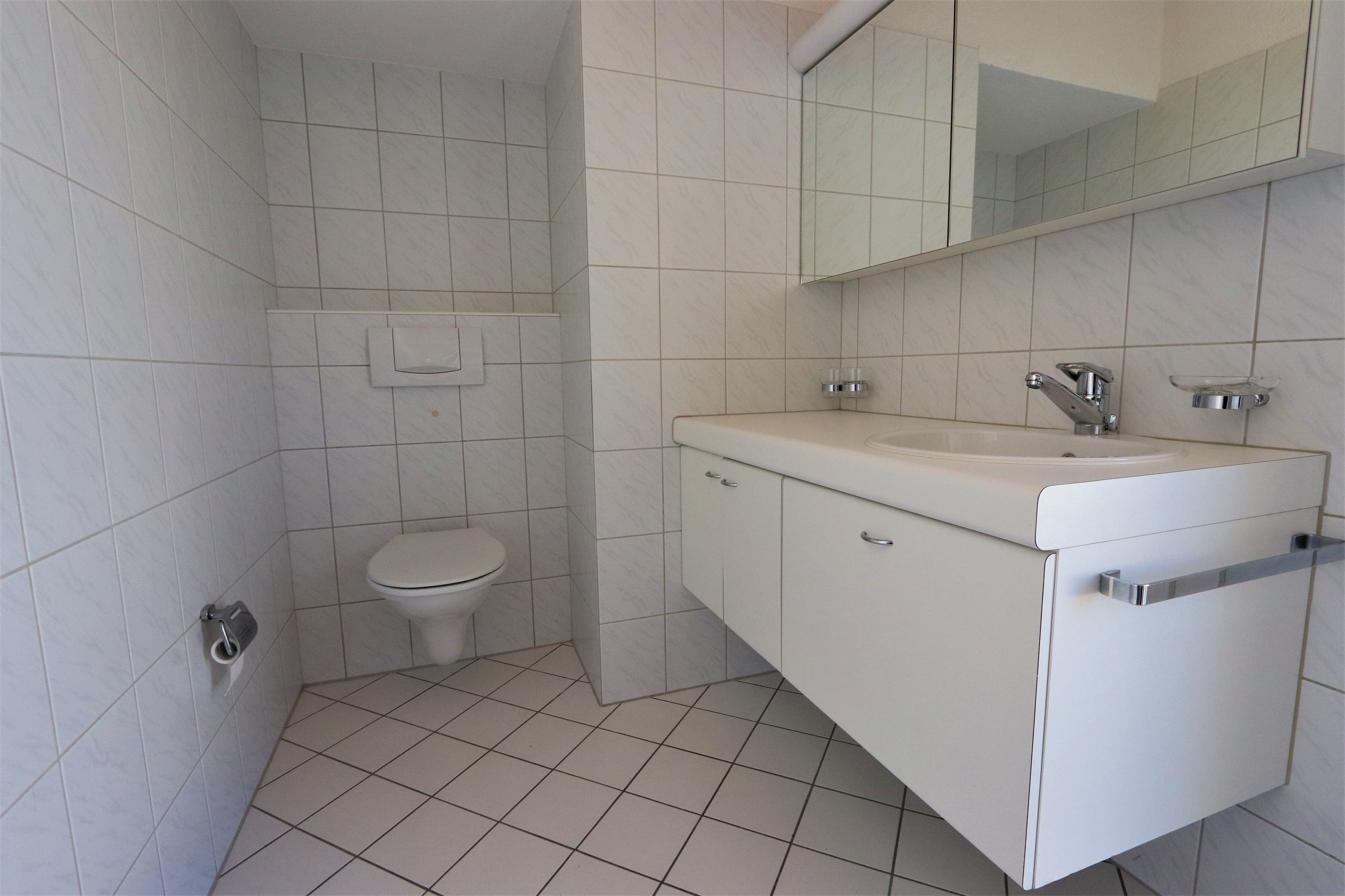 4.5-Zimmer-Attikawohnung mit 147 m² Terrassenfläche - 9