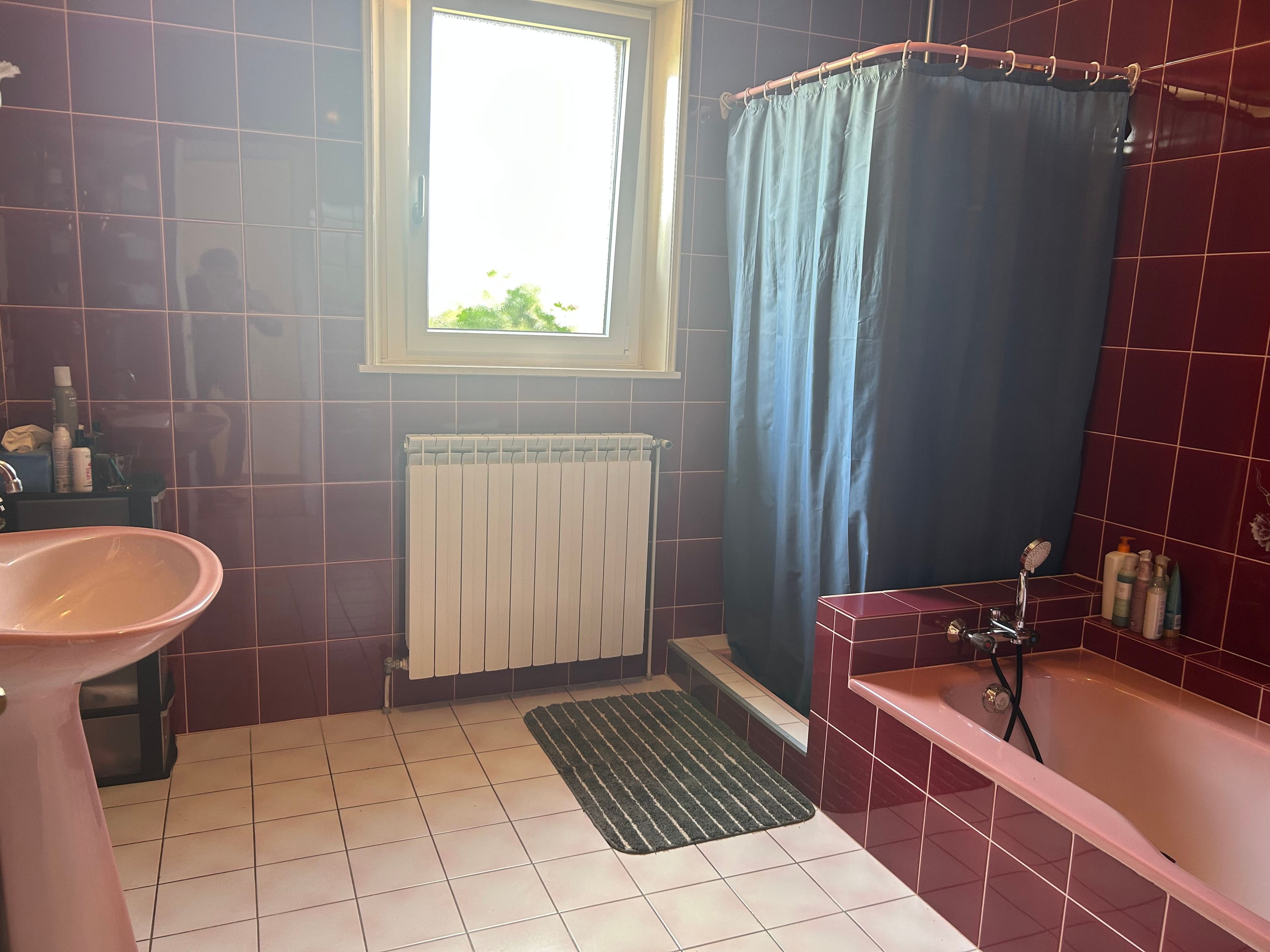 7.5-Zimmer-Landhaus mit 1 ha Grundstück in Monthureux-sur-Saône (FR) nähe Basel und Boncourt - 9