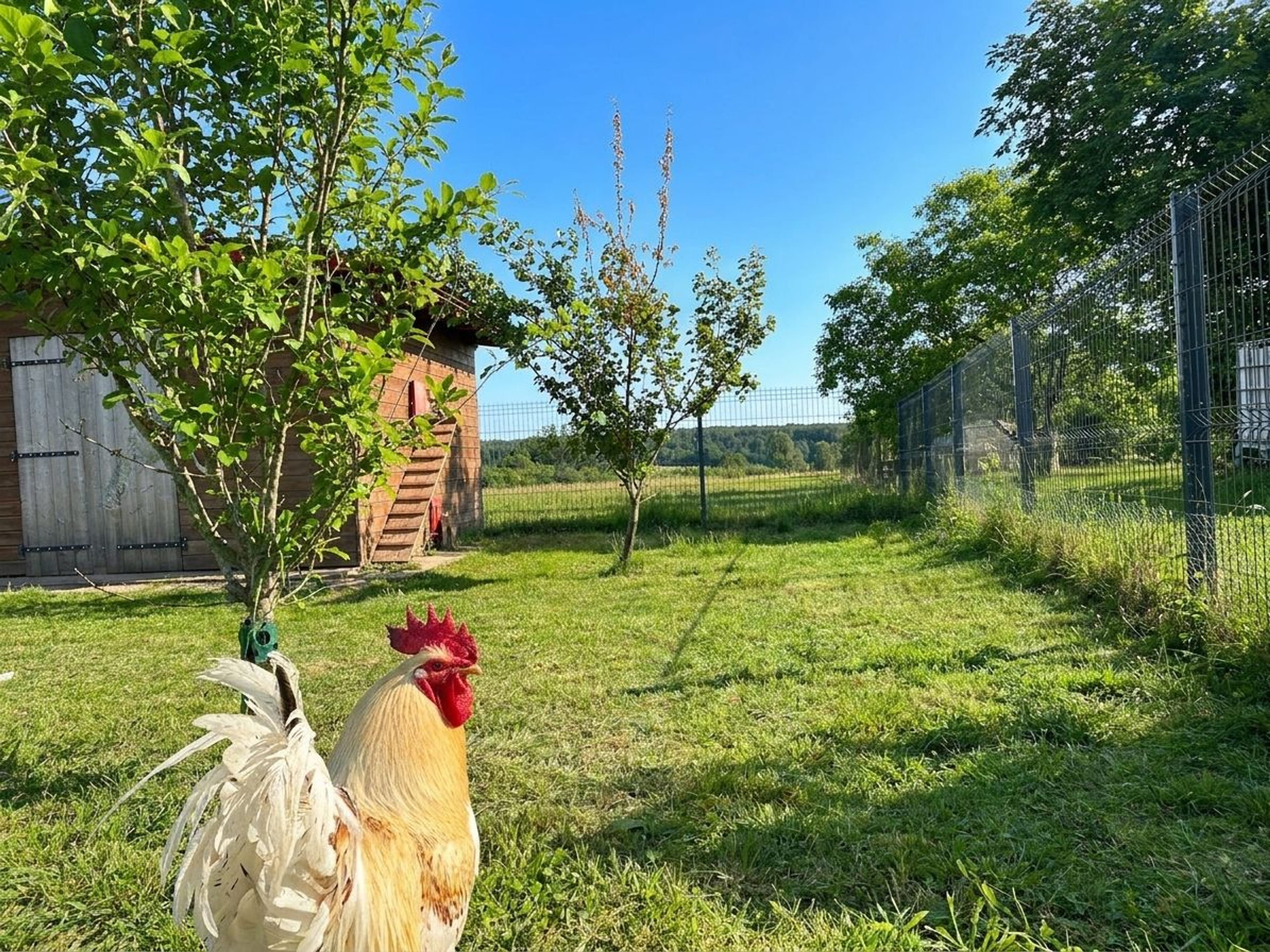 7.5-Zimmer-Landhaus mit 1 ha Grundstück in Monthureux-sur-Saône (FR) nähe Basel und Boncourt - 16